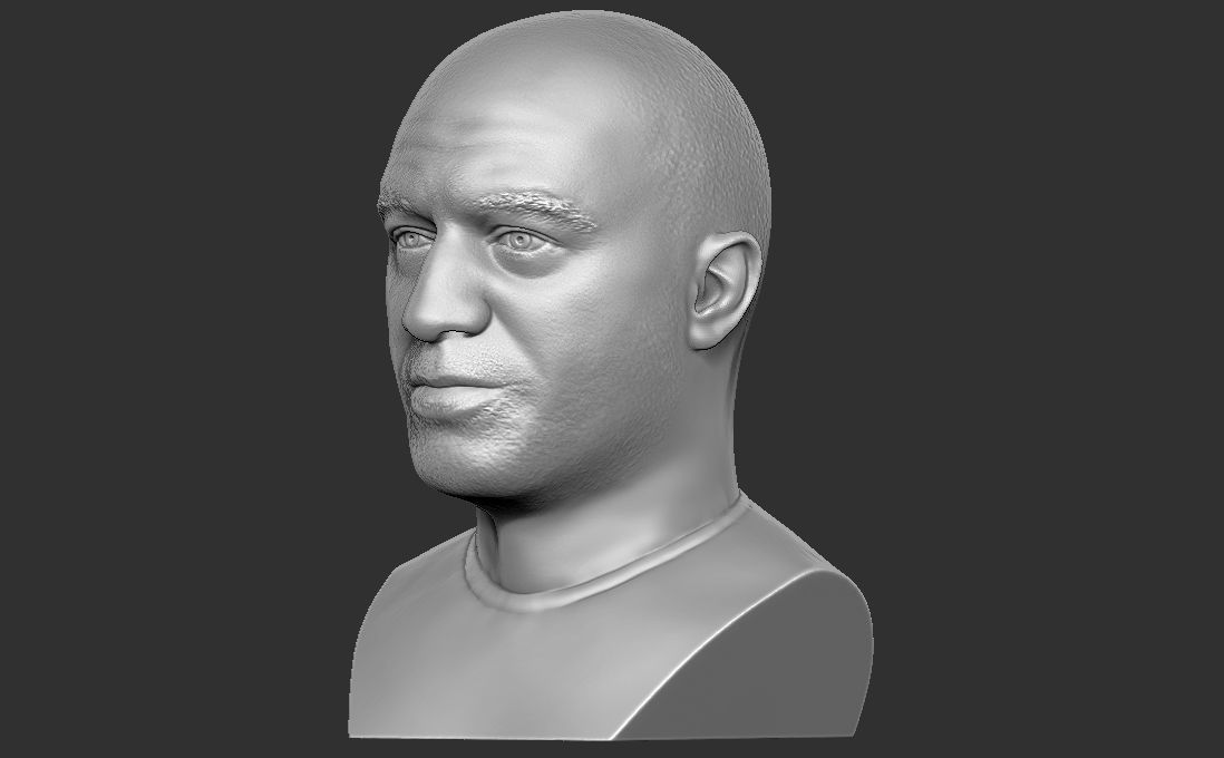 Joe Rogan bust for 3D printing 3D print model_3