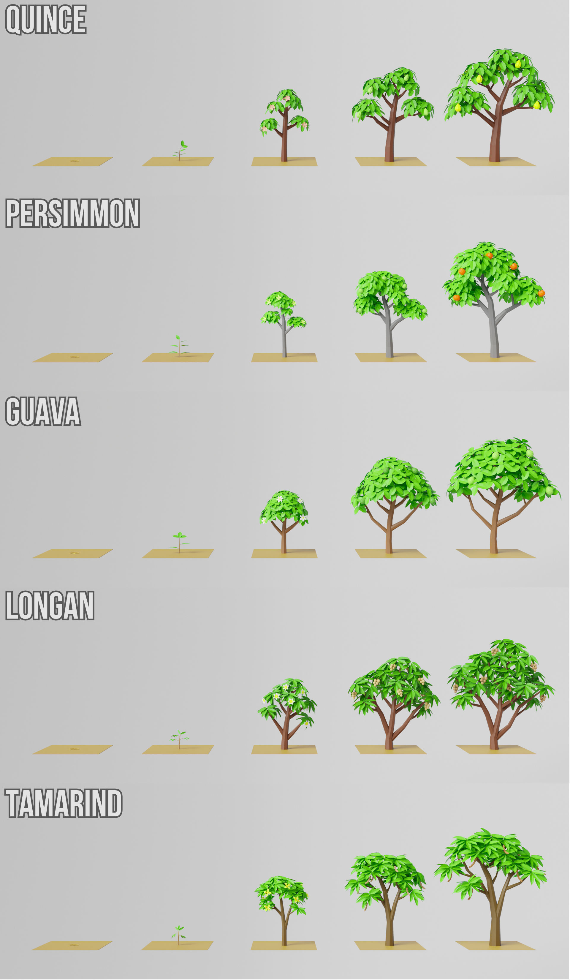 Fruit Farm Pack Low-poly 3D model_21