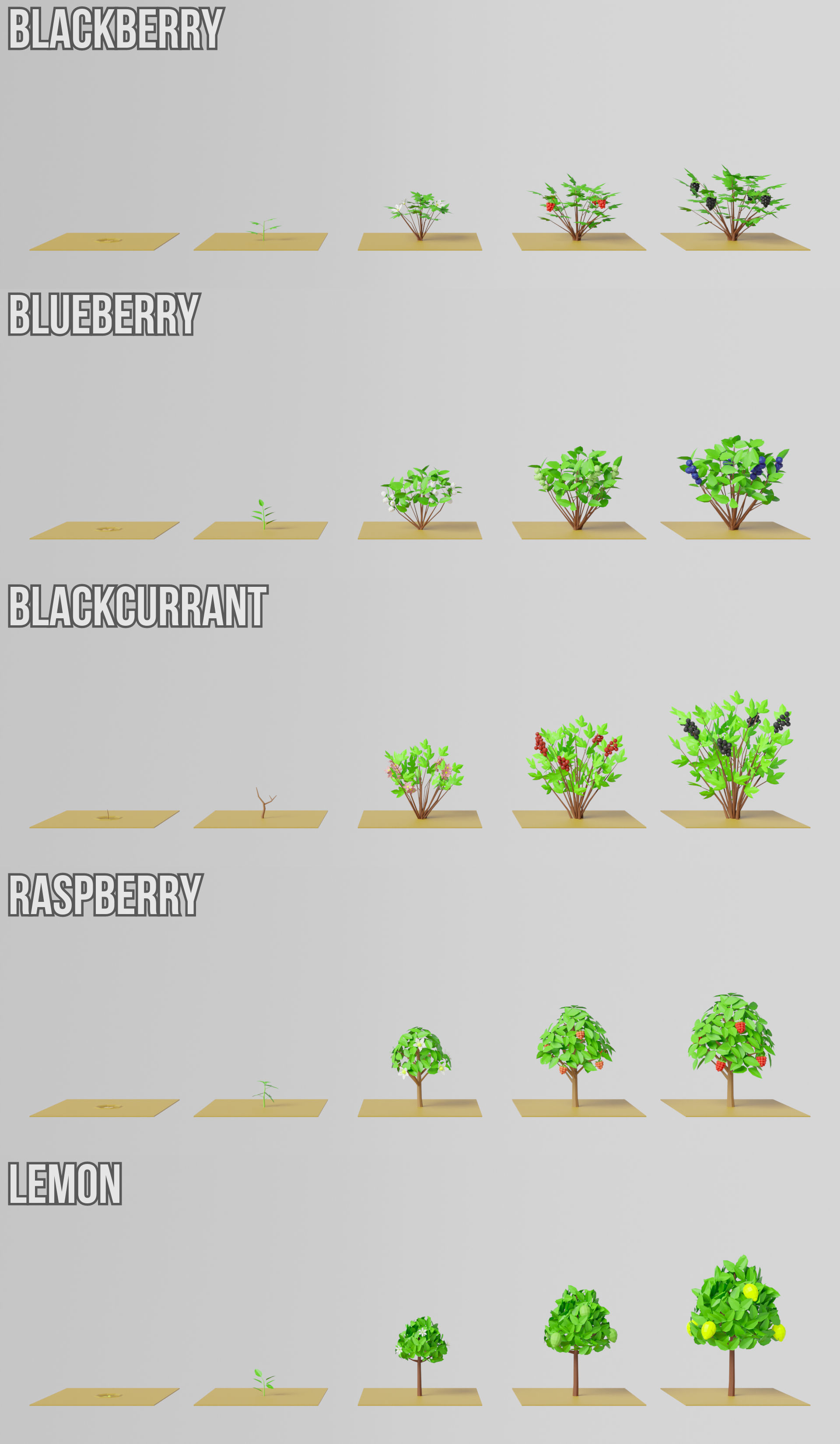 Fruit Farm Pack Low-poly 3D model_5