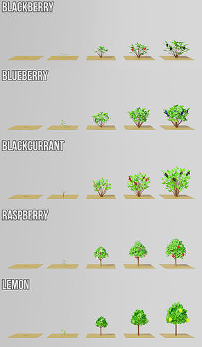 Fruit Farm Pack Low-poly 3D model 6