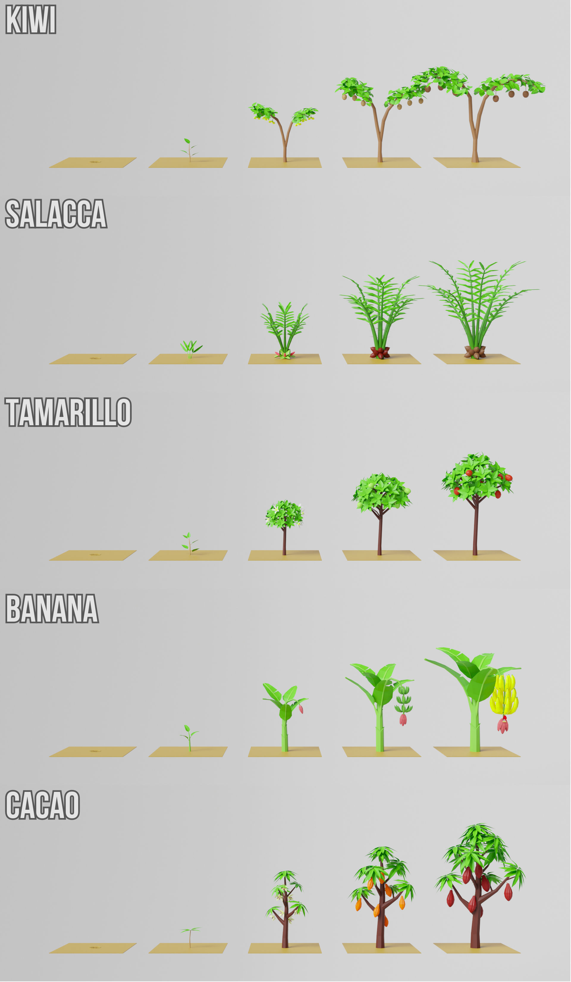 Fruit Farm Pack Low-poly 3D model_13