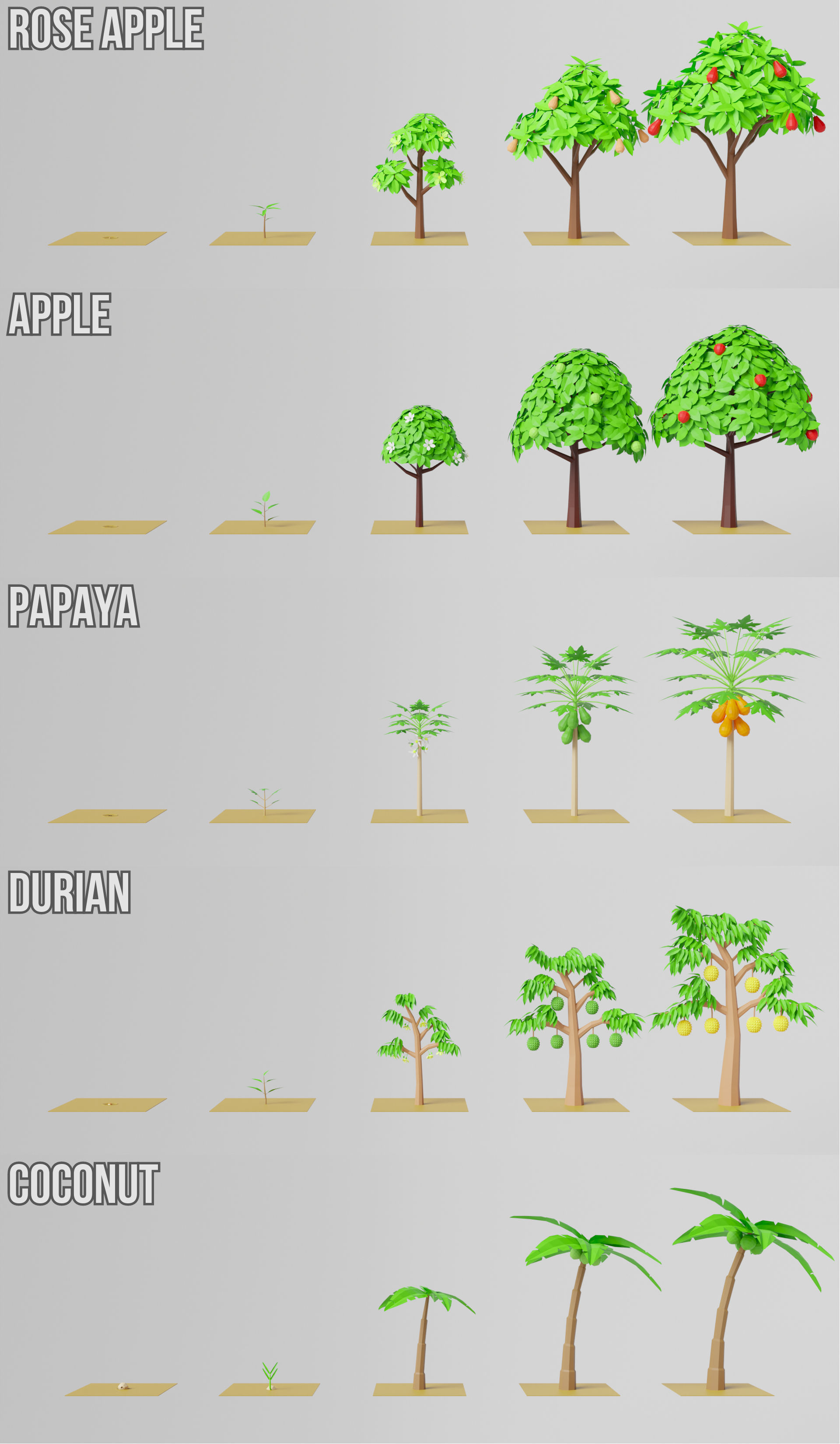 Fruit Farm Pack Low-poly 3D model_33