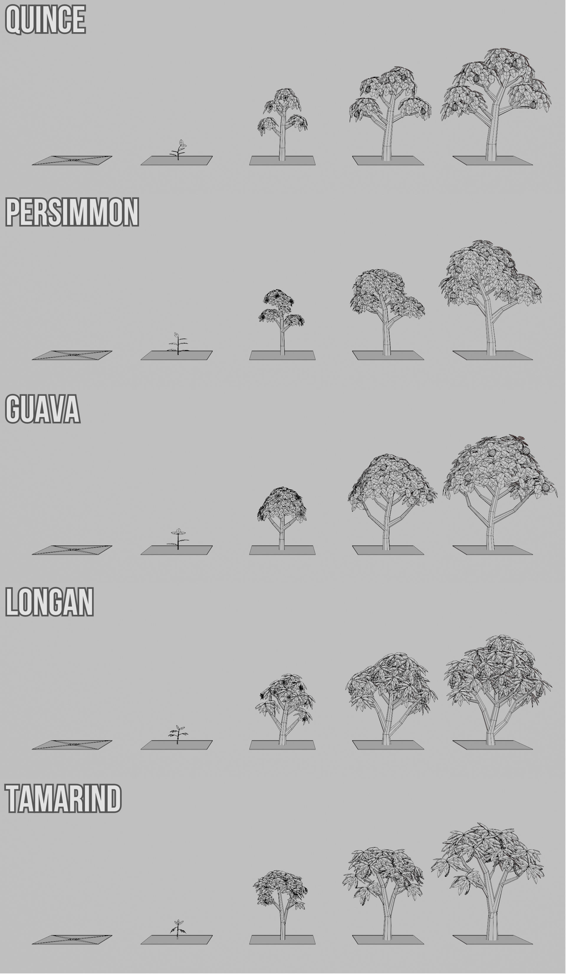 Fruit Farm Pack Low-poly 3D model_22