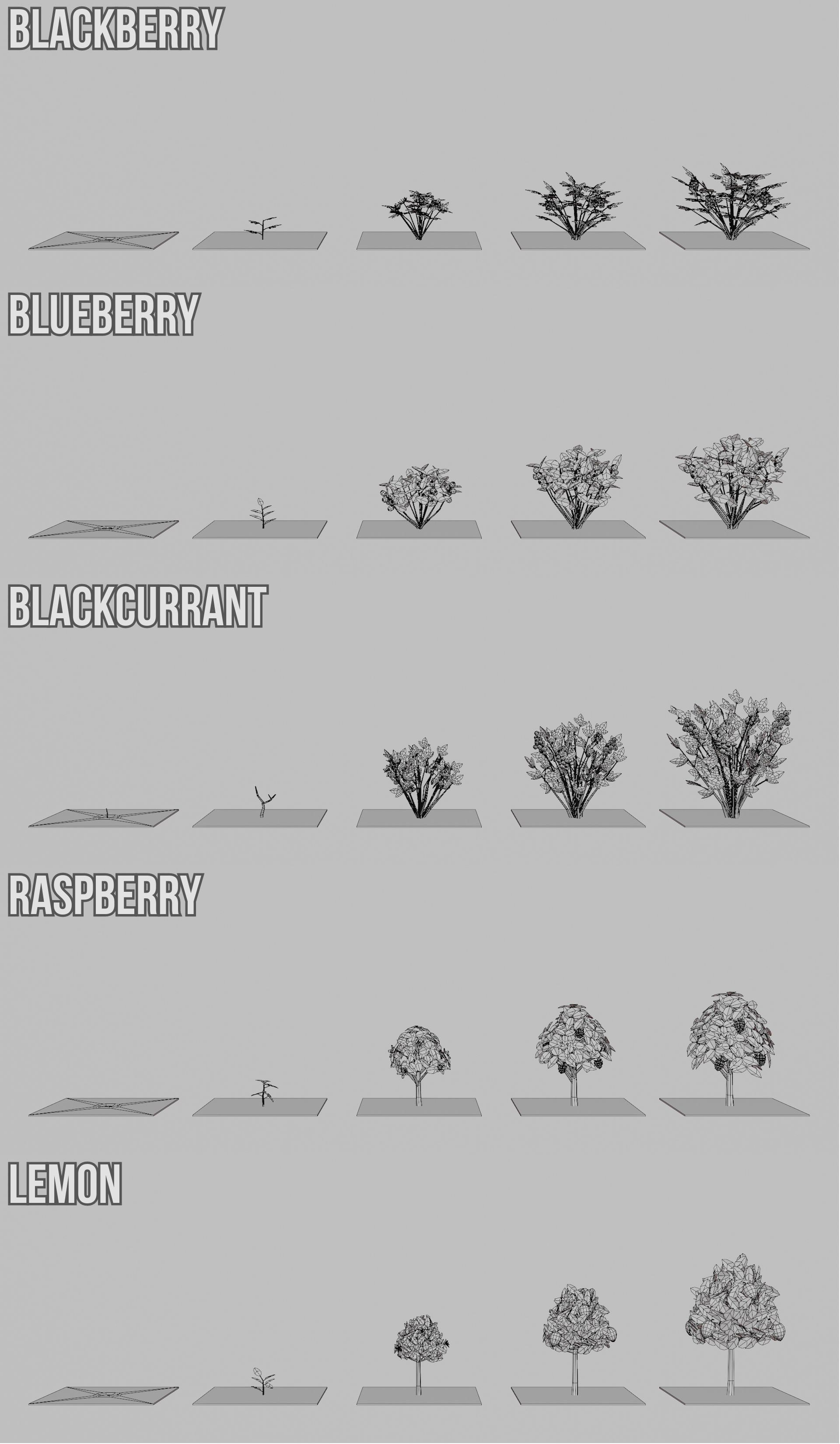 Fruit Farm Pack Low-poly 3D model_6