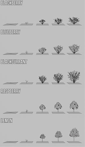 Fruit Farm Pack Low-poly 3D model 7