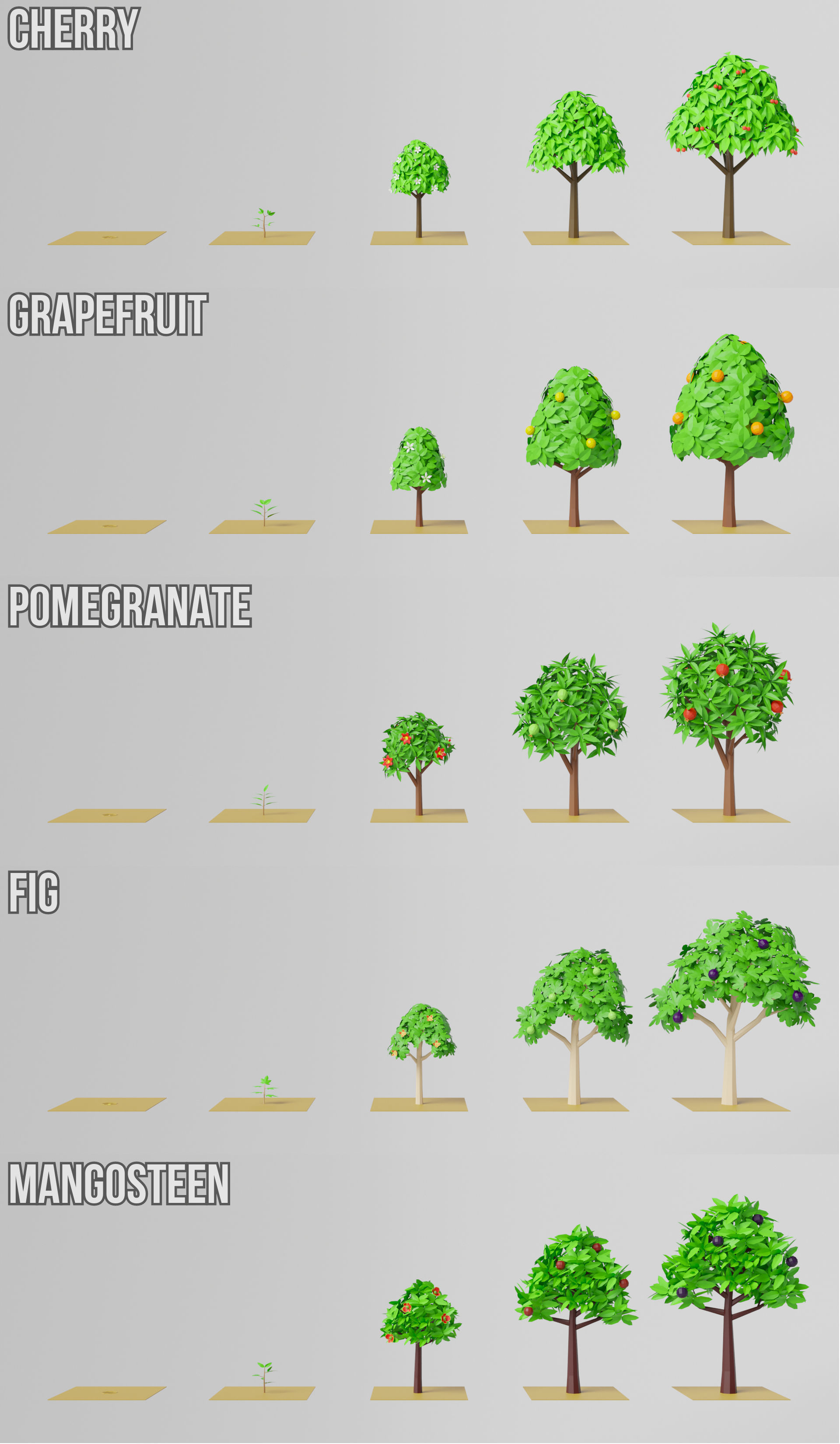 Fruit Farm Pack Low-poly 3D model_29