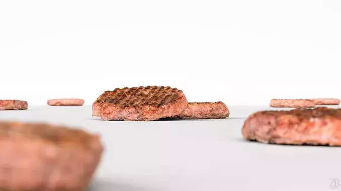 Burger patty 3D model 2
