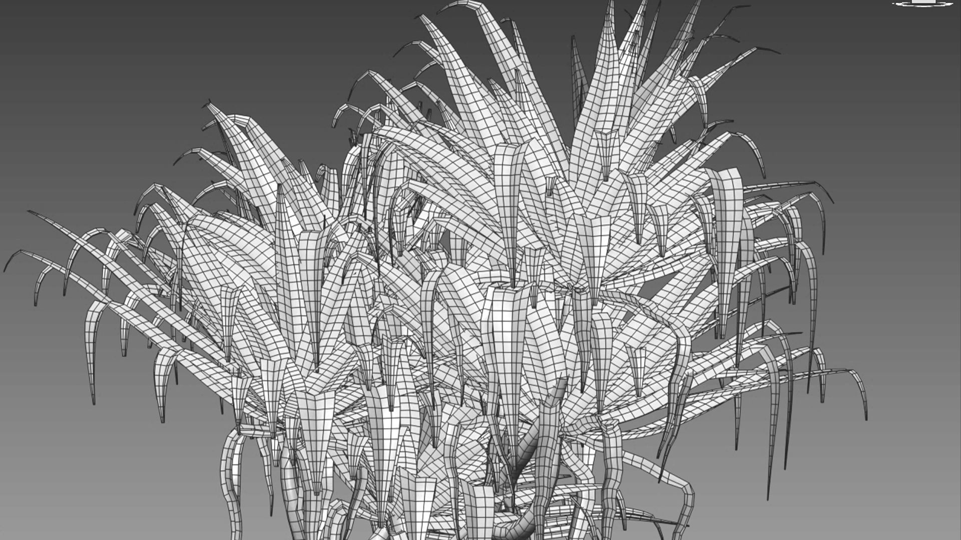 Pandanus baptistii - Variegated Dwarf Pandanus 3D model_6