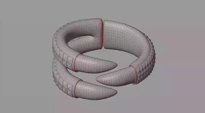 Bracelet 2 octopus ring