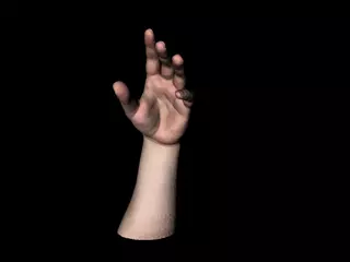 Relaxed hand Free 3D model