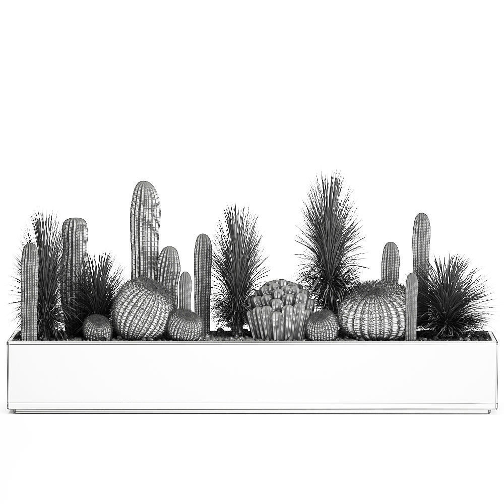 Cactus set in a concrete flowerpot for the interior 1101 3D model_7