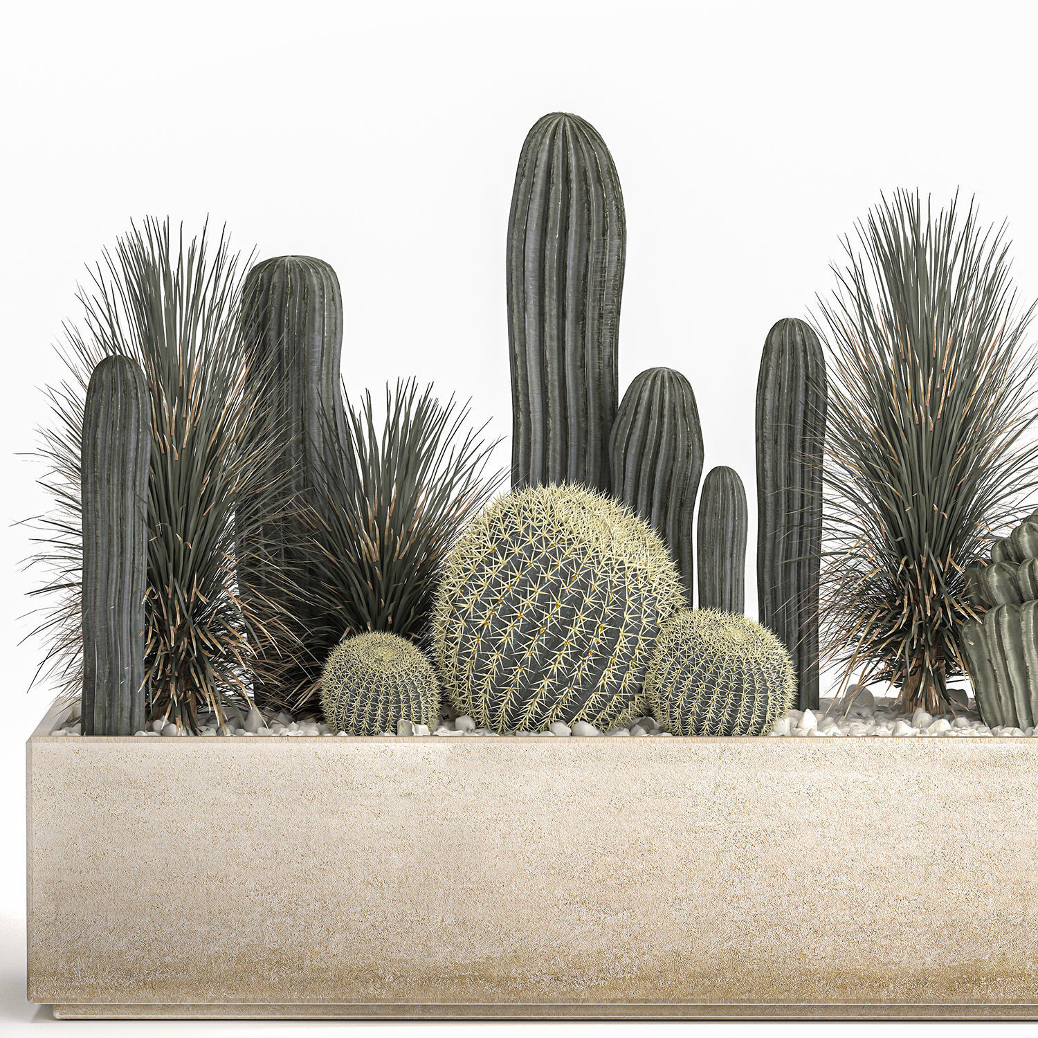 Cactus set in a concrete flowerpot for the interior 1101 3D model_3