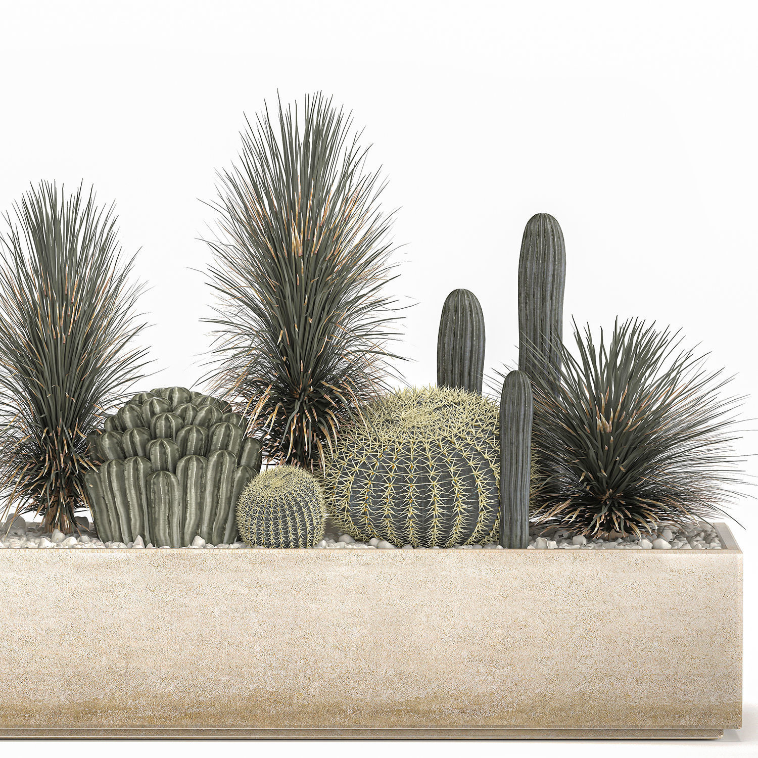 Cactus set in a concrete flowerpot for the interior 1101 3D model_5