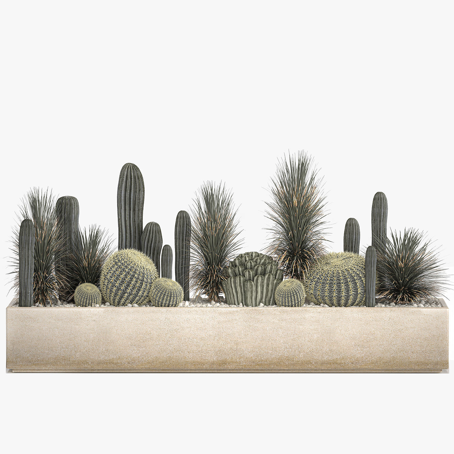 Cactus set in a concrete flowerpot for the interior 1101 3D model_6