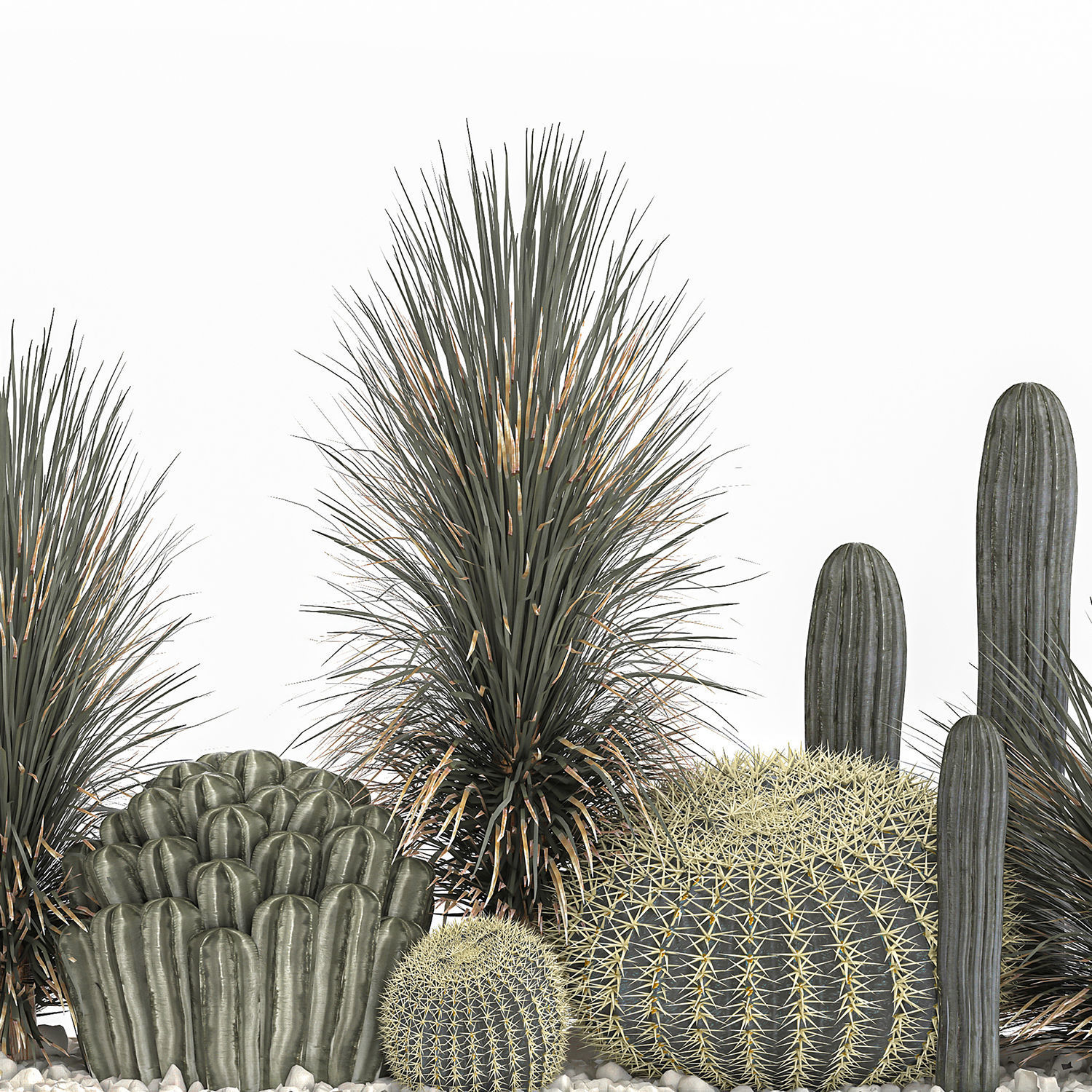 Cactus set in a concrete flowerpot for the interior 1101 3D model_2