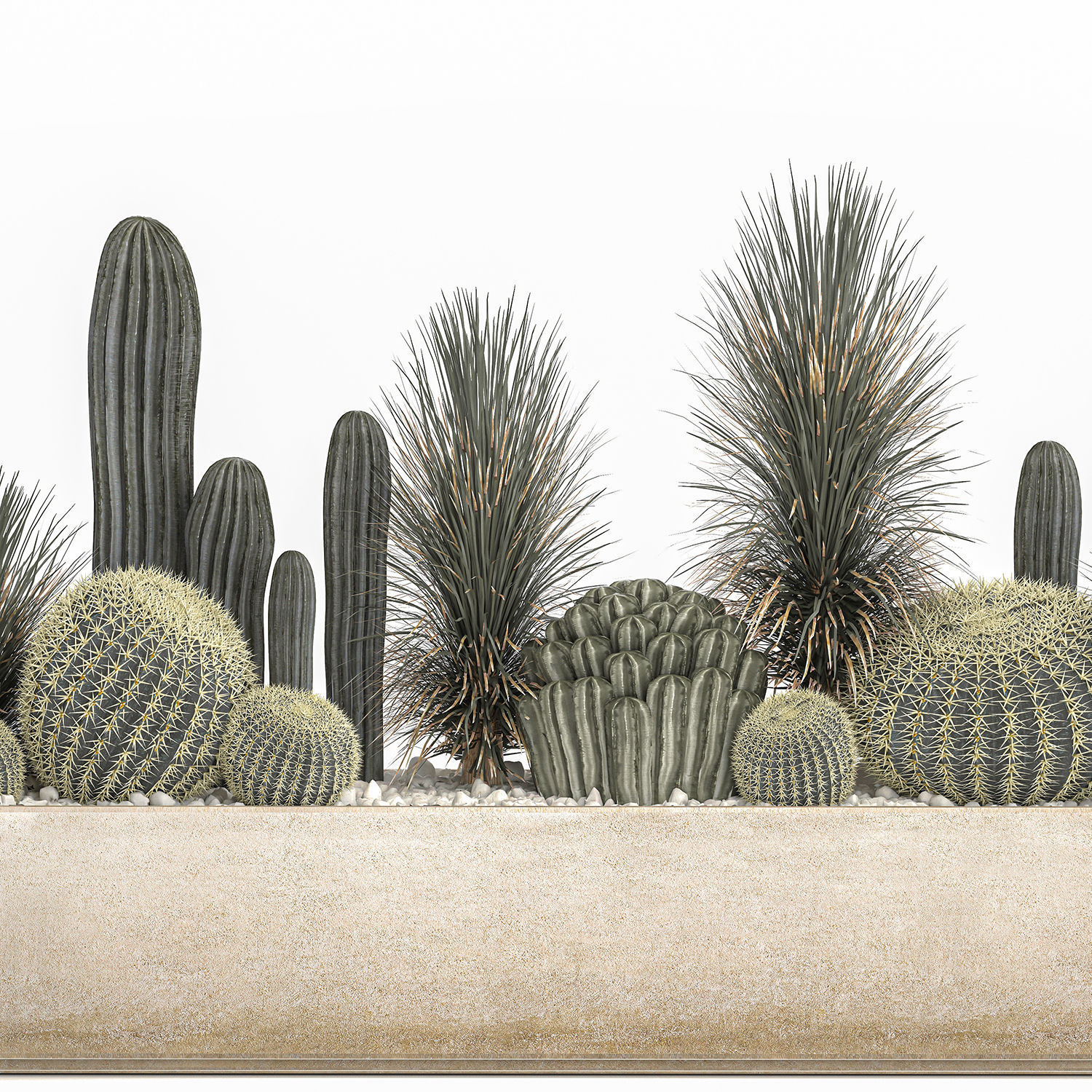 Cactus set in a concrete flowerpot for the interior 1101 3D model_4