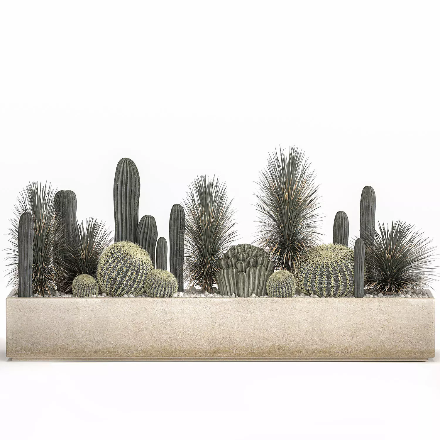 Cactus set in a concrete flowerpot for the interior 1101 3D model_0