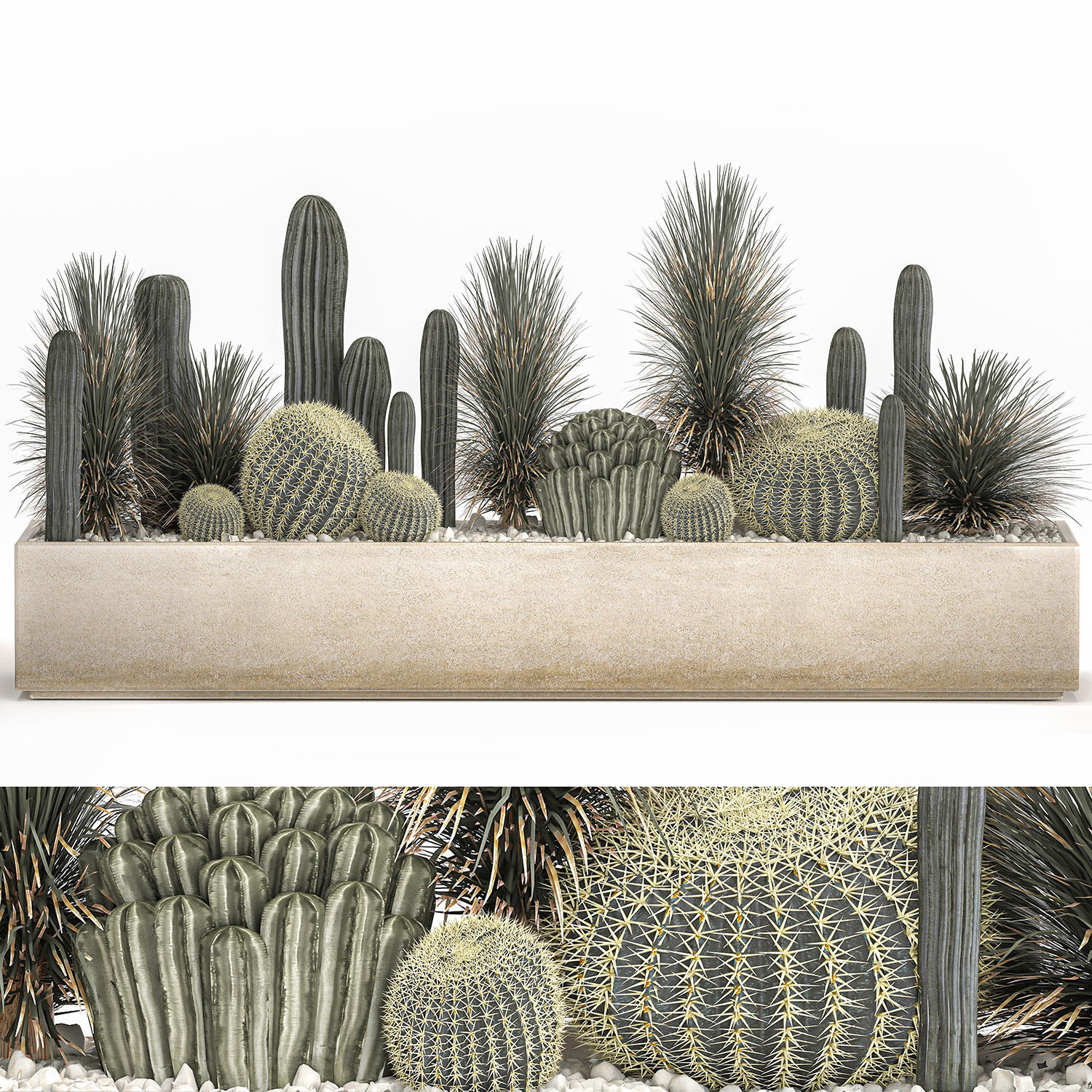 Cactus set in a concrete flowerpot for the interior 1101 3D model_1