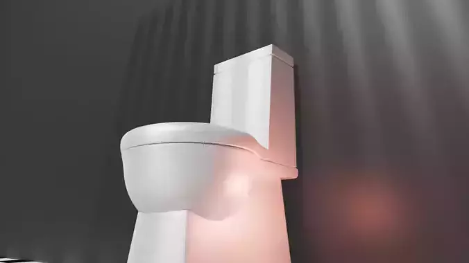 3D toilet model