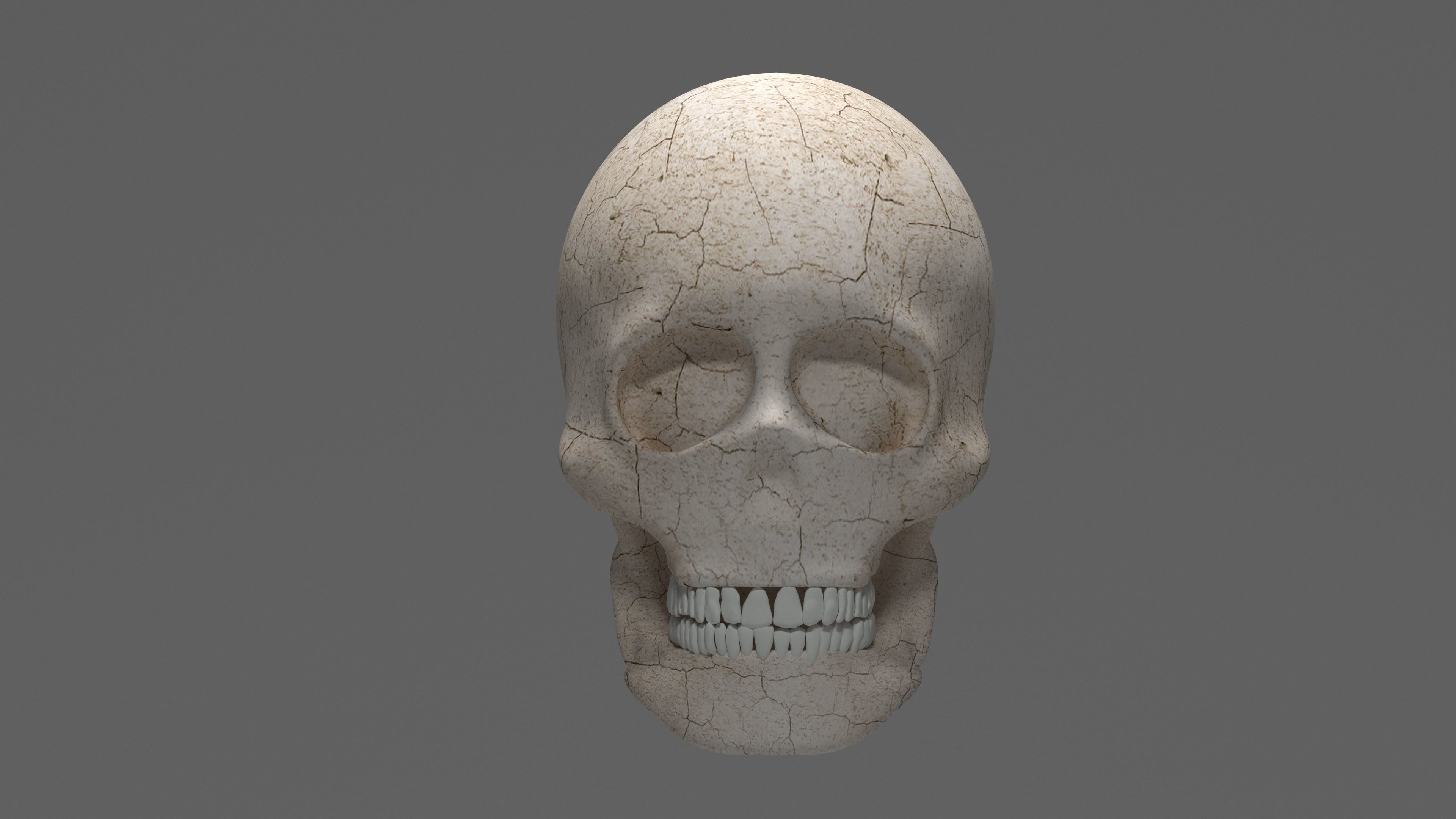 SKULL 3D model_6