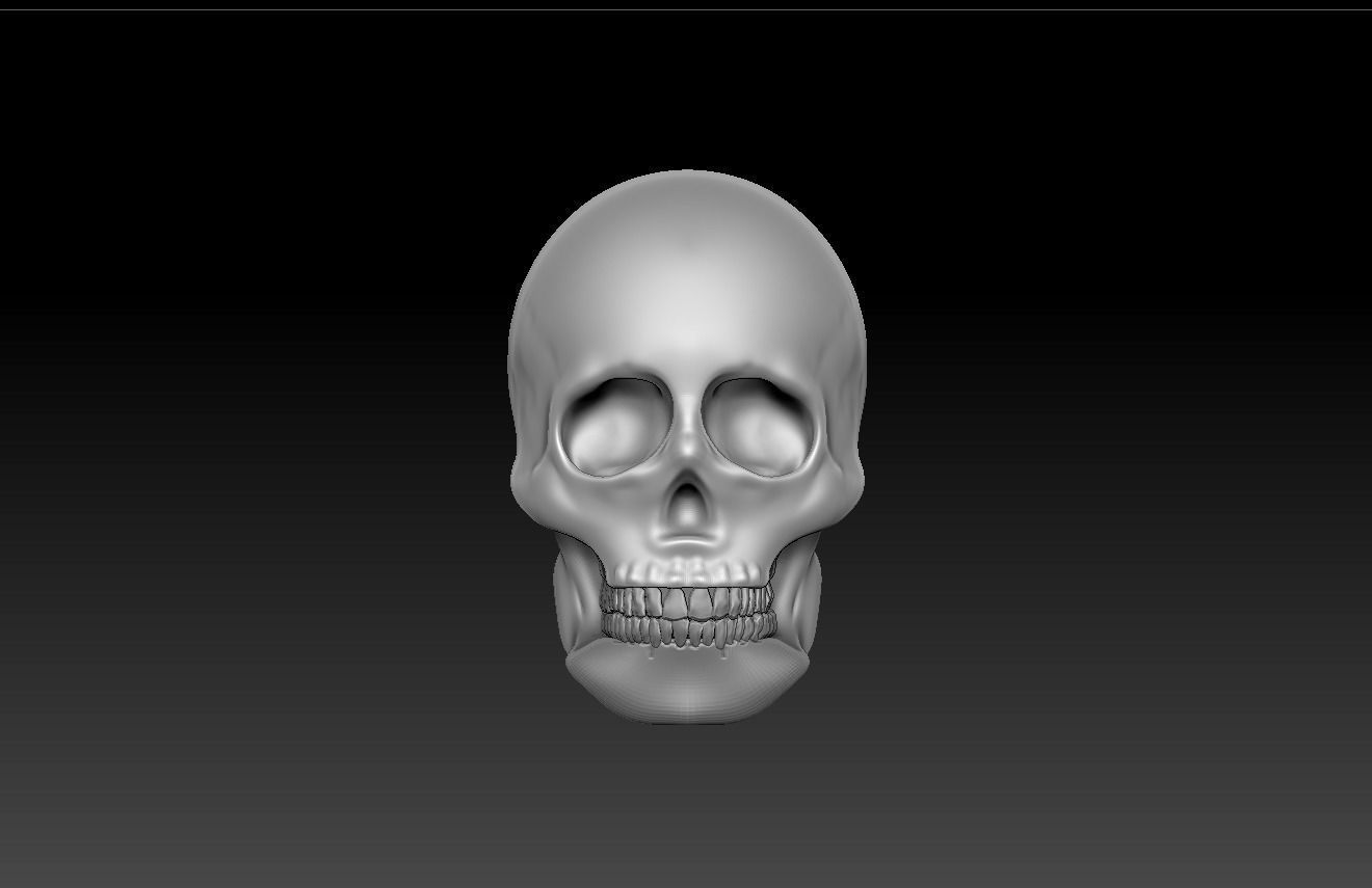 SKULL 3D model_2