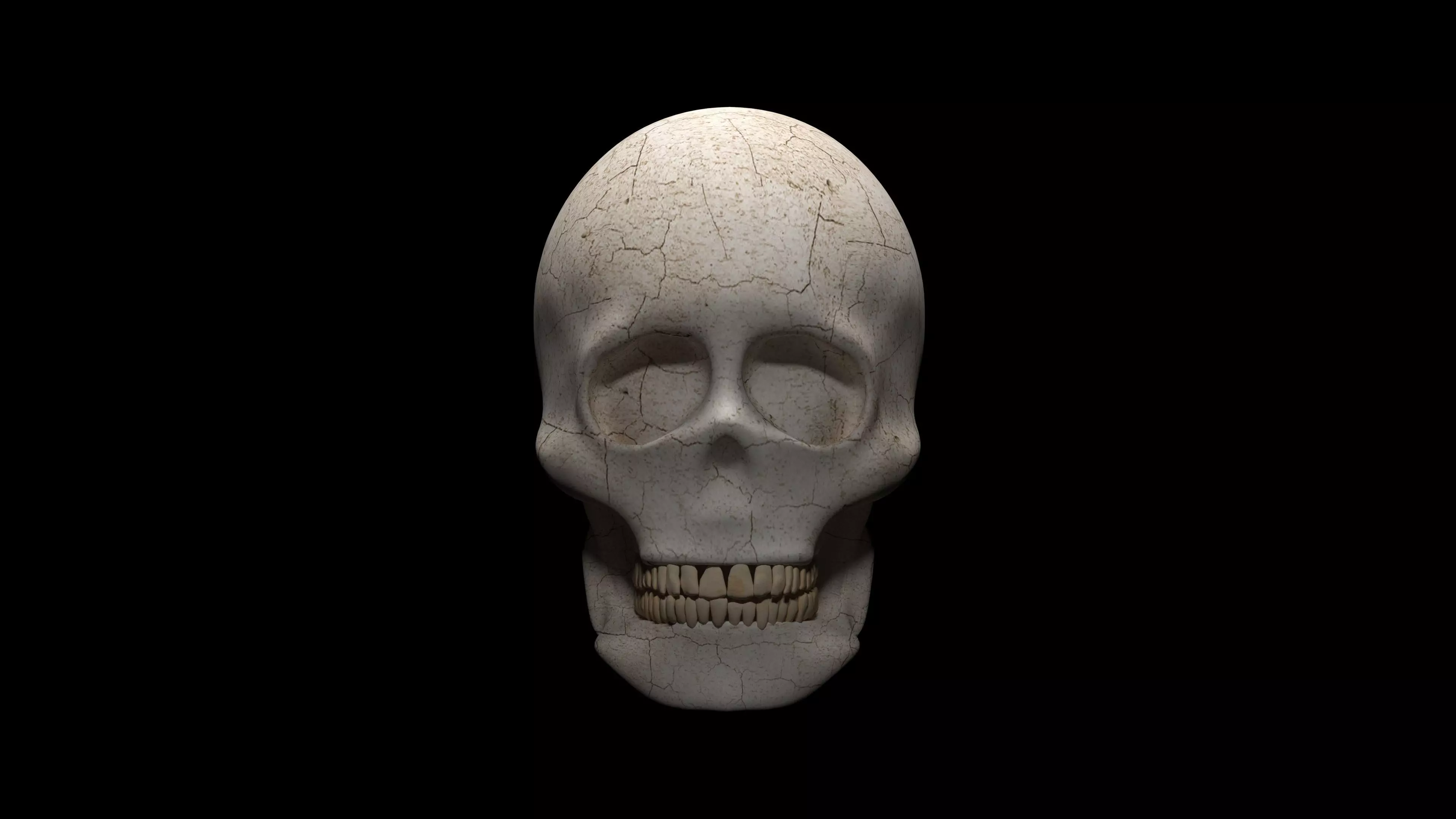 SKULL 3D model_0