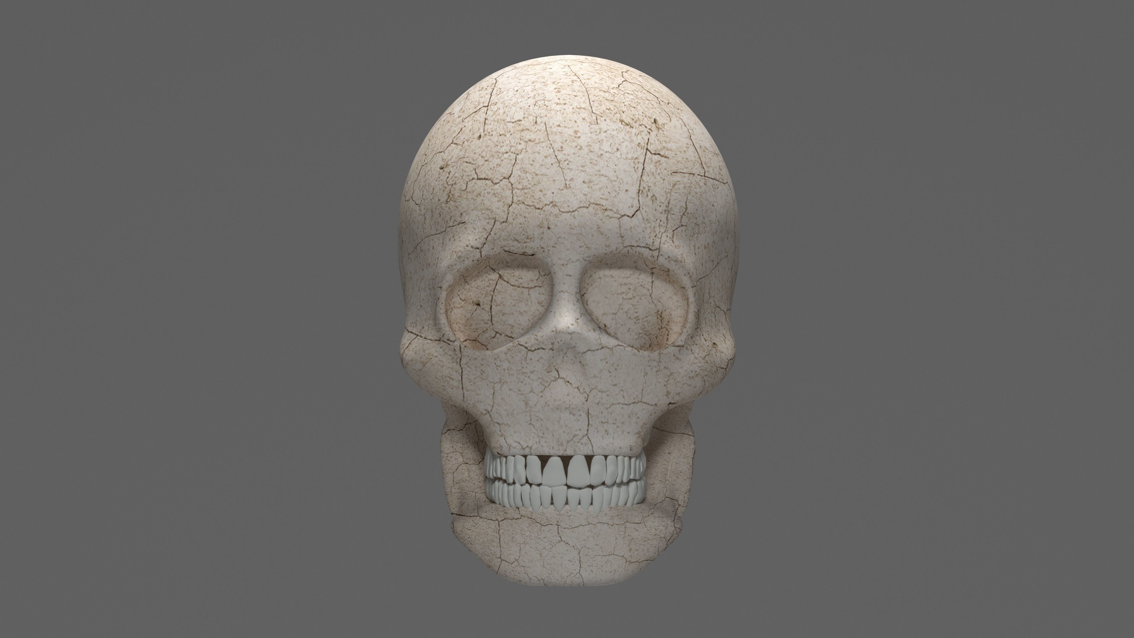 SKULL 3D model_5