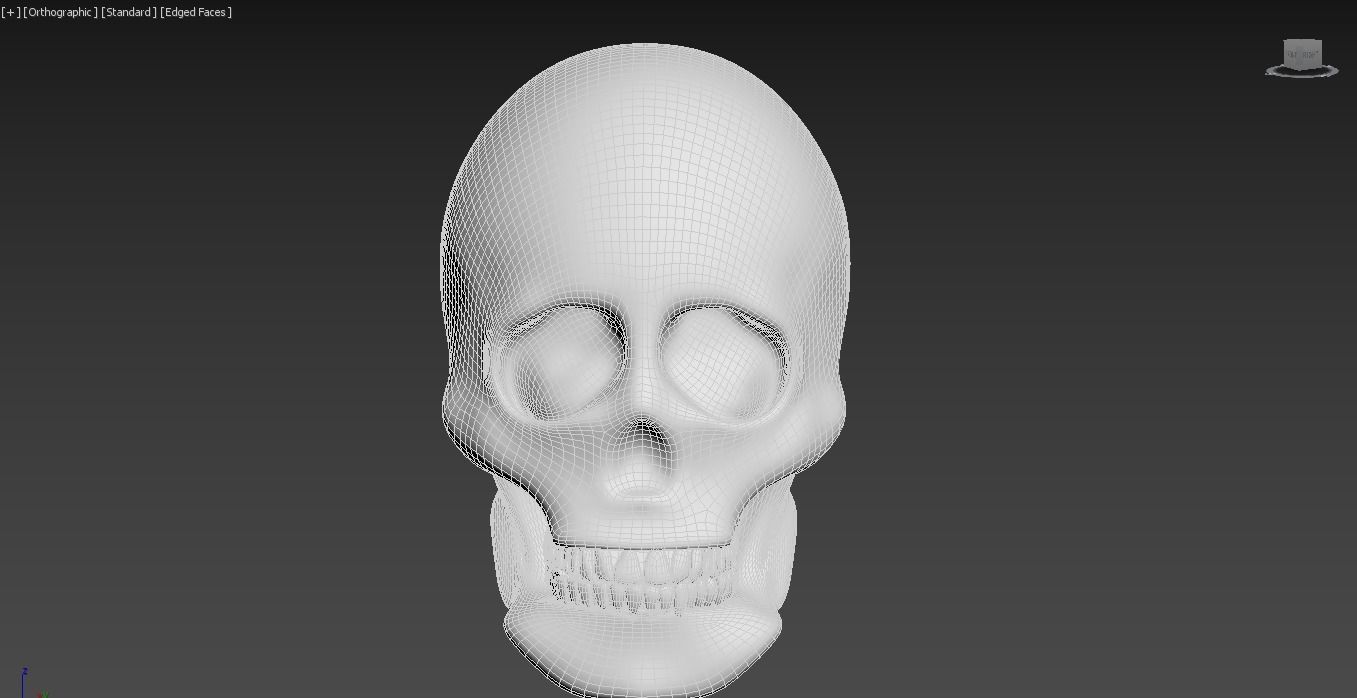 SKULL 3D model_8