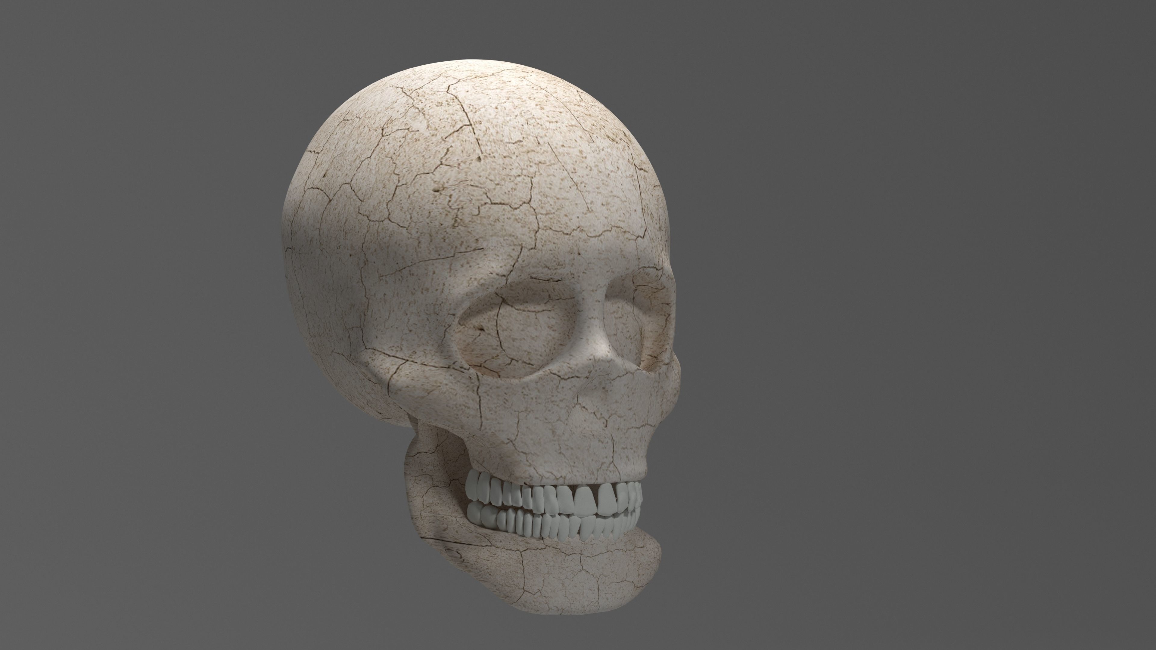 SKULL 3D model_7