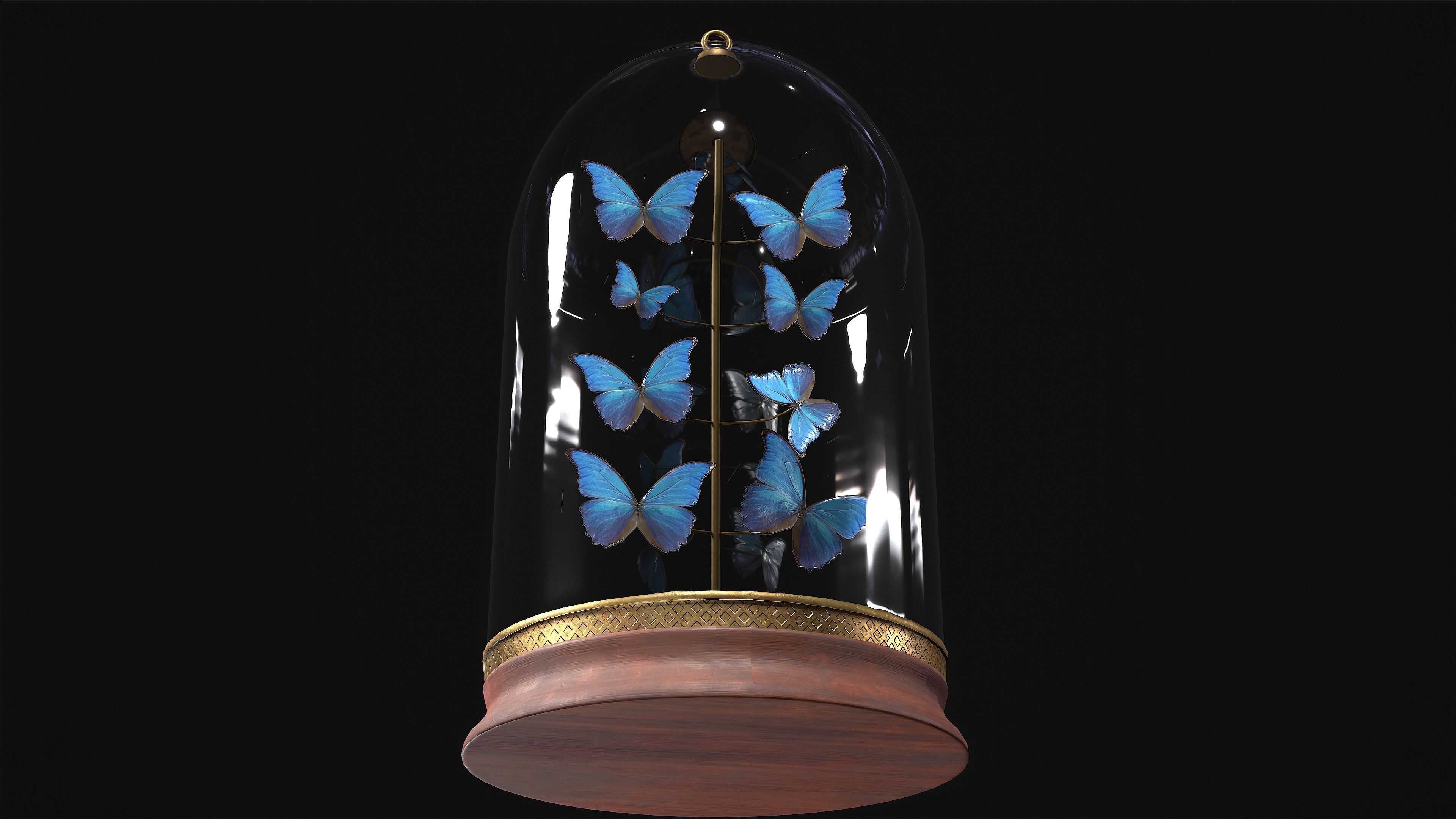Butterfly Collection Dome PBR Low-poly 3D model_6