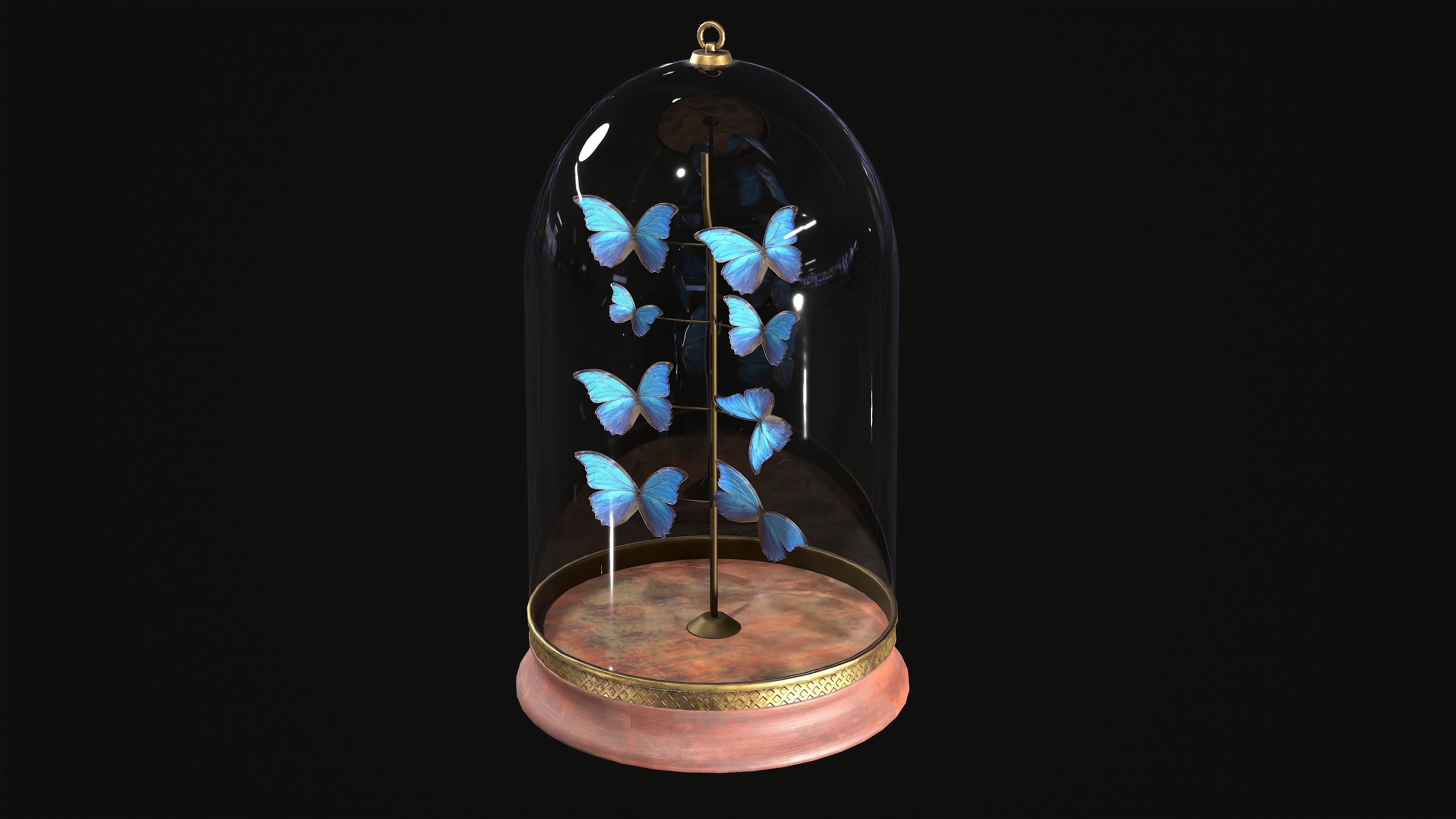 Butterfly Collection Dome PBR Low-poly 3D model_4