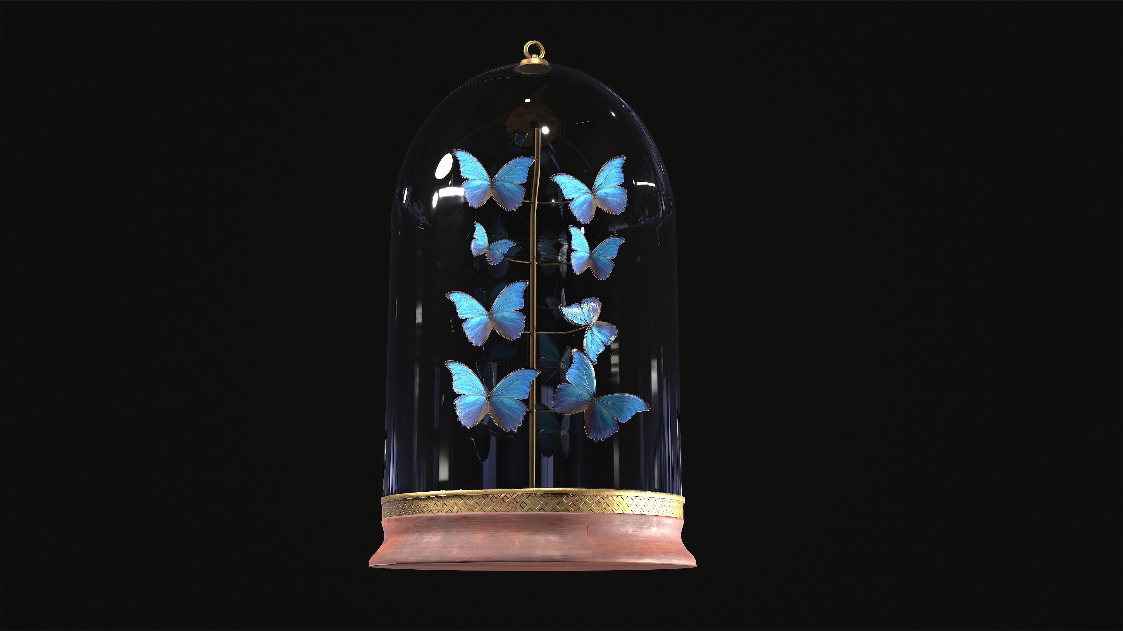 Butterfly Collection Dome PBR Low-poly 3D model_3