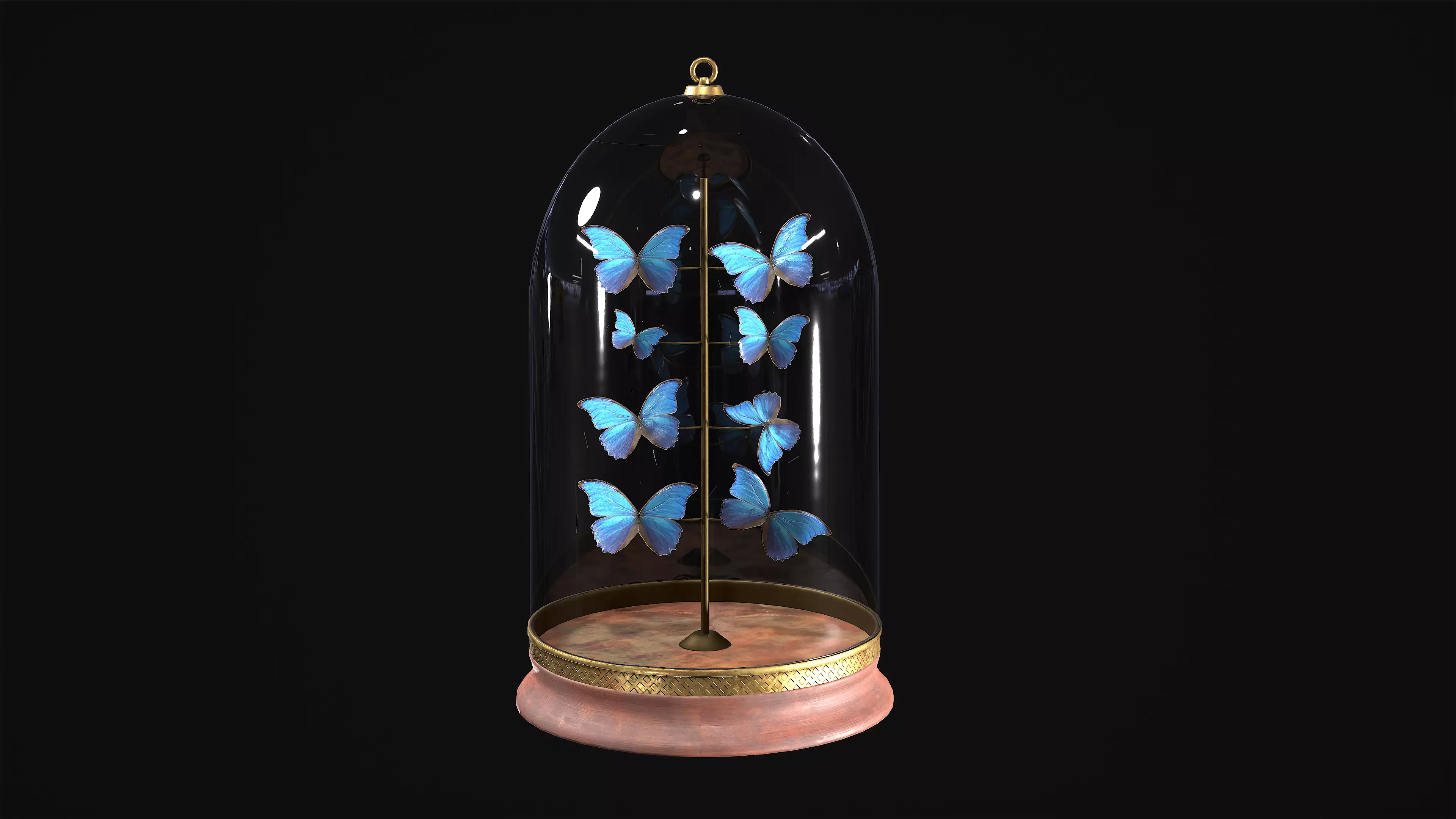 Butterfly Collection Dome PBR Low-poly 3D model_0