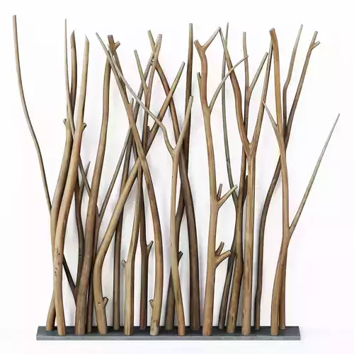 Branch old screen n1