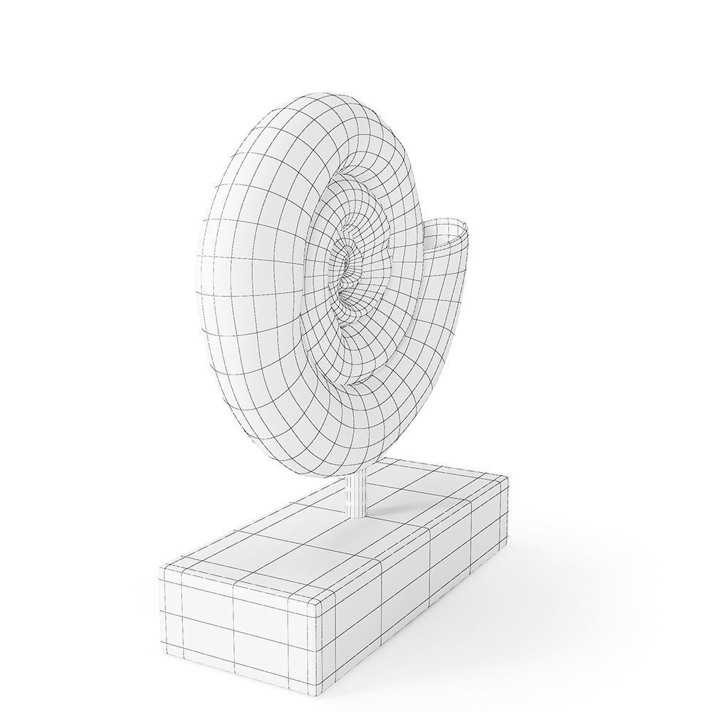 Fossil Shell 3D model_8