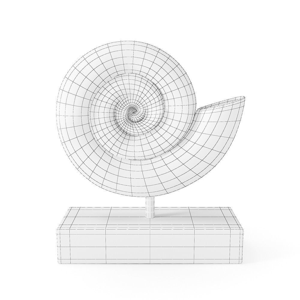 Fossil Shell 3D model_7