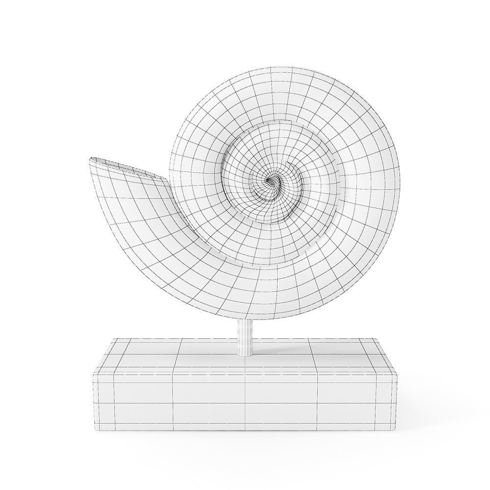 Fossil Shell 3D model_10