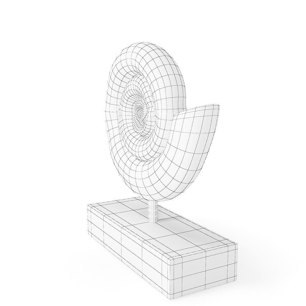 Fossil Shell 3D model_12