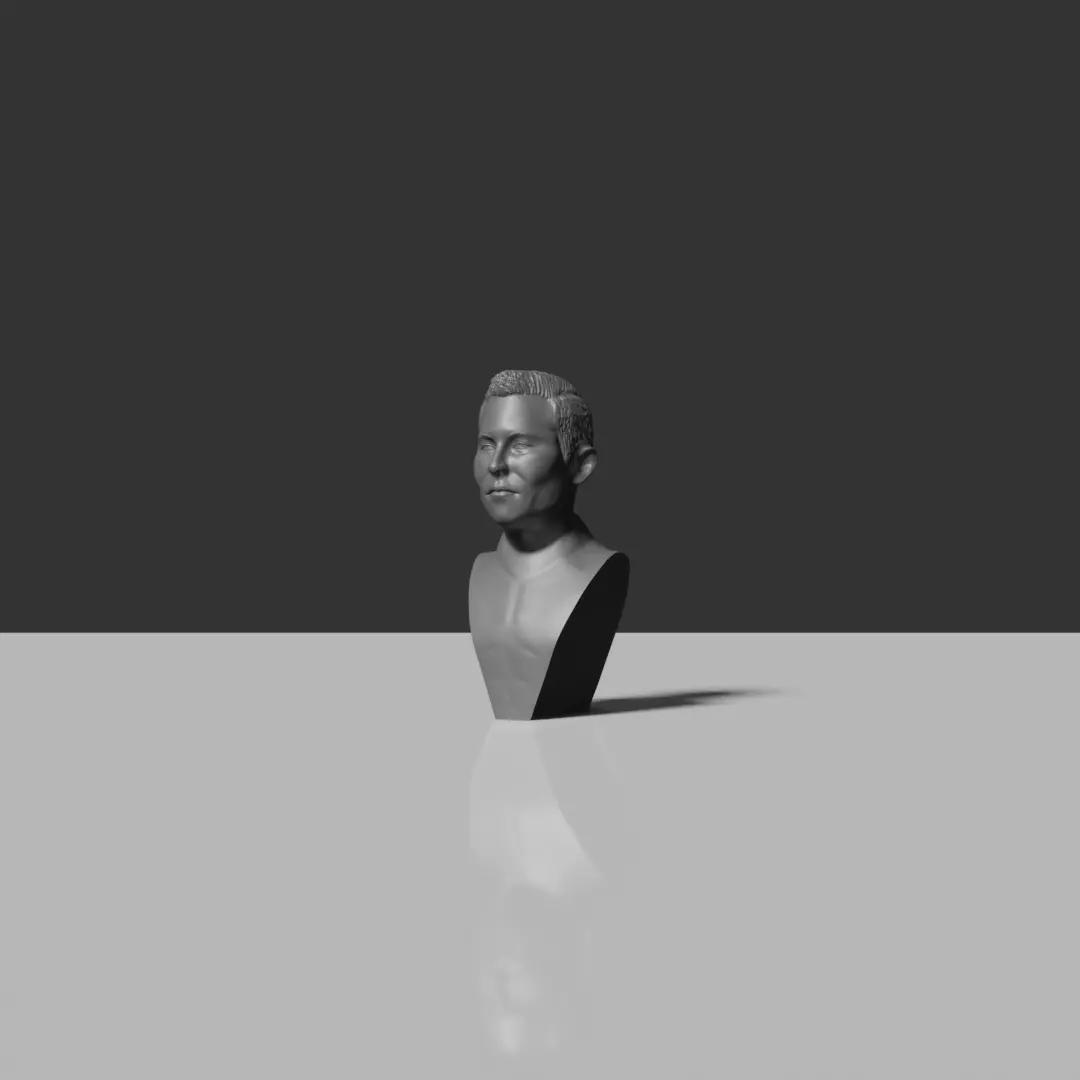Elon Musk Bust 3D print model