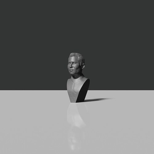 Elon Musk Bust 3D print model