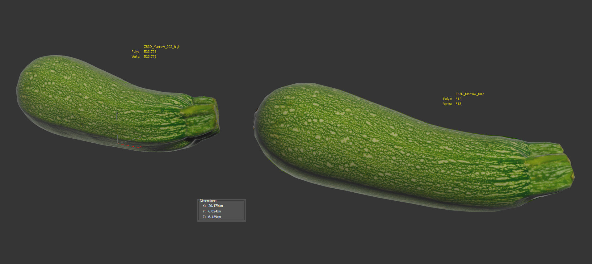 Marrow 3D model_8