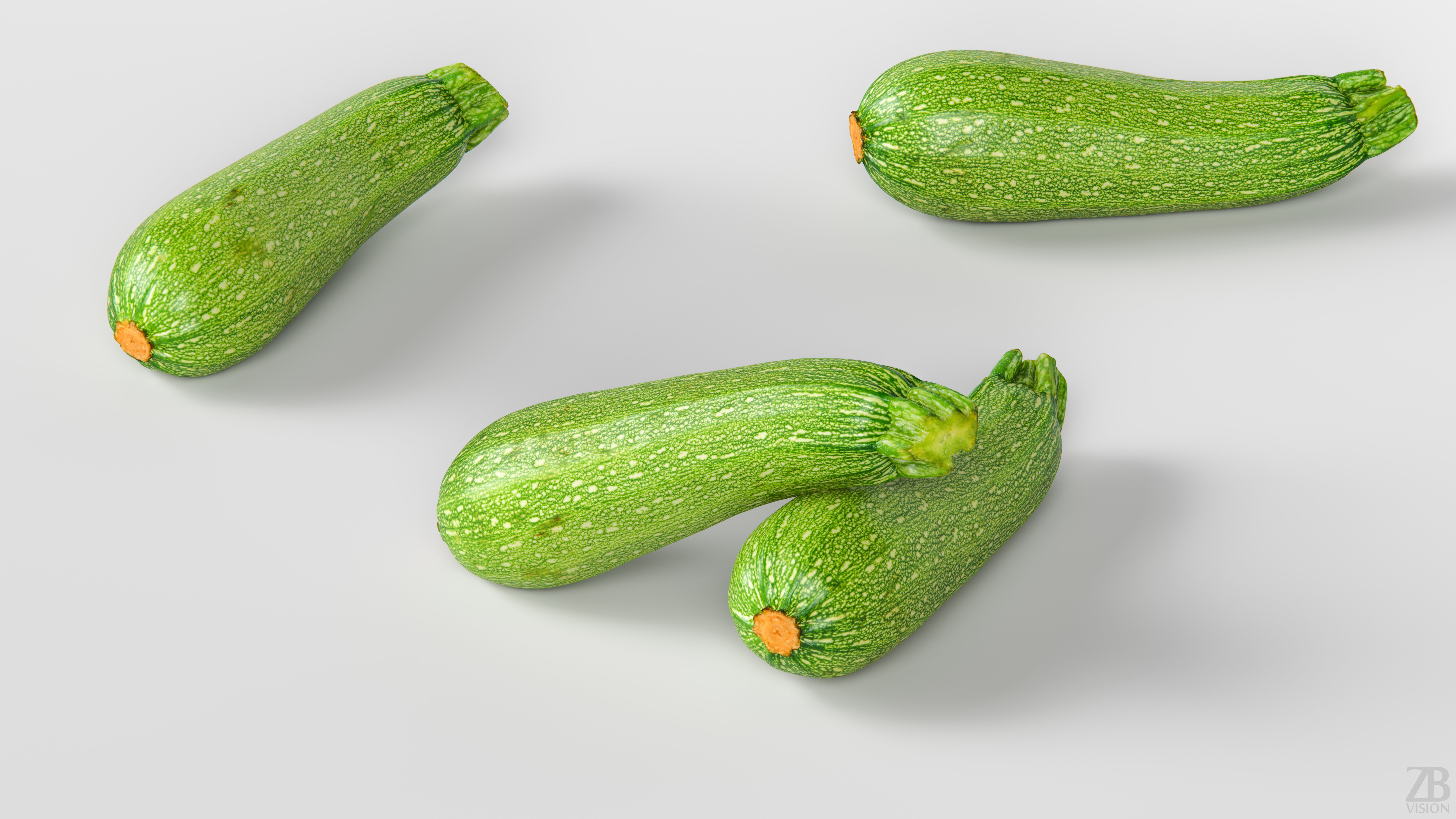 Marrow 3D model_2