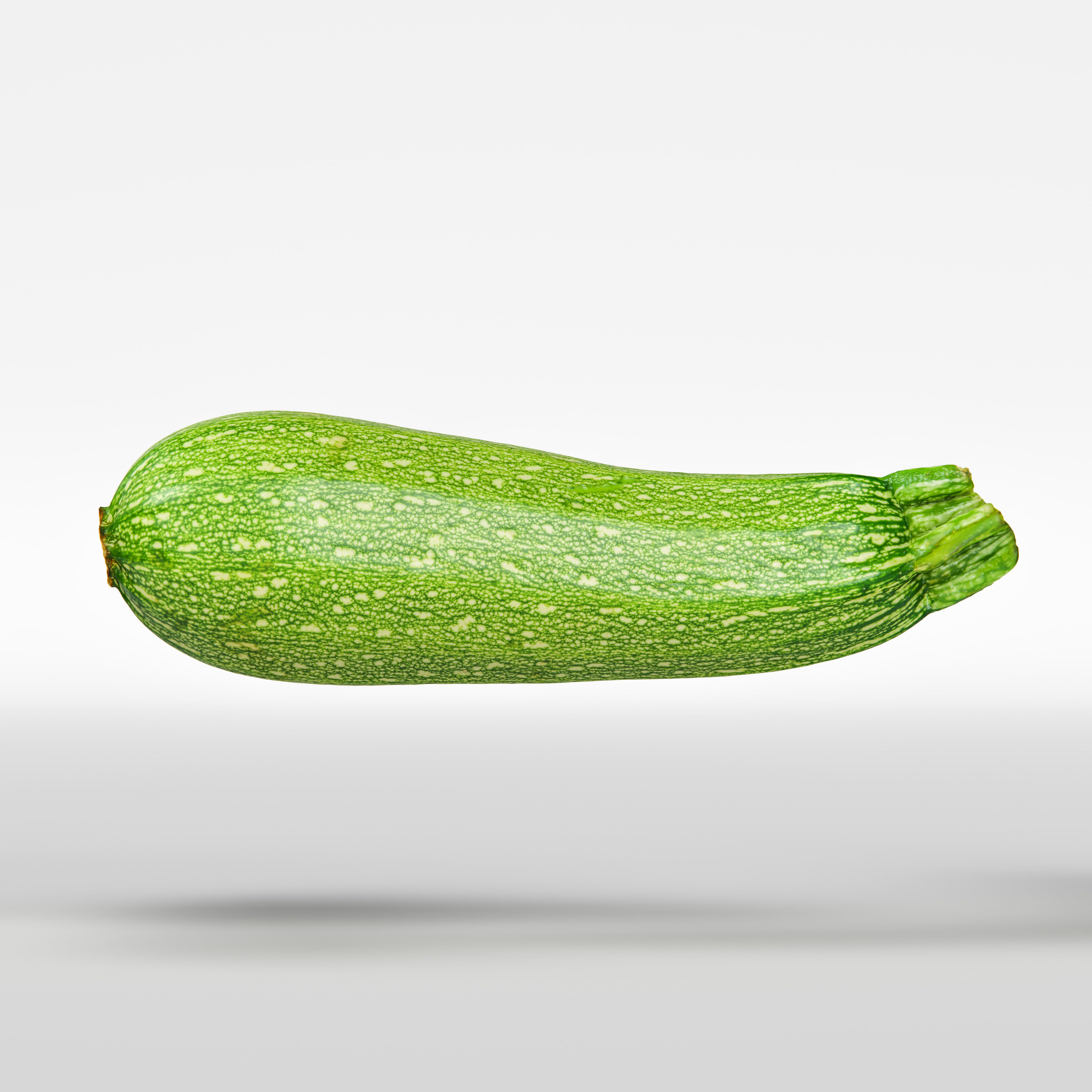 Marrow 3D model_5