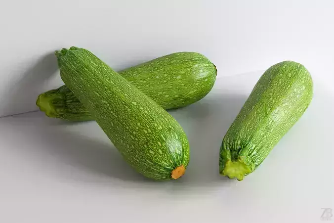 Marrow 3D model