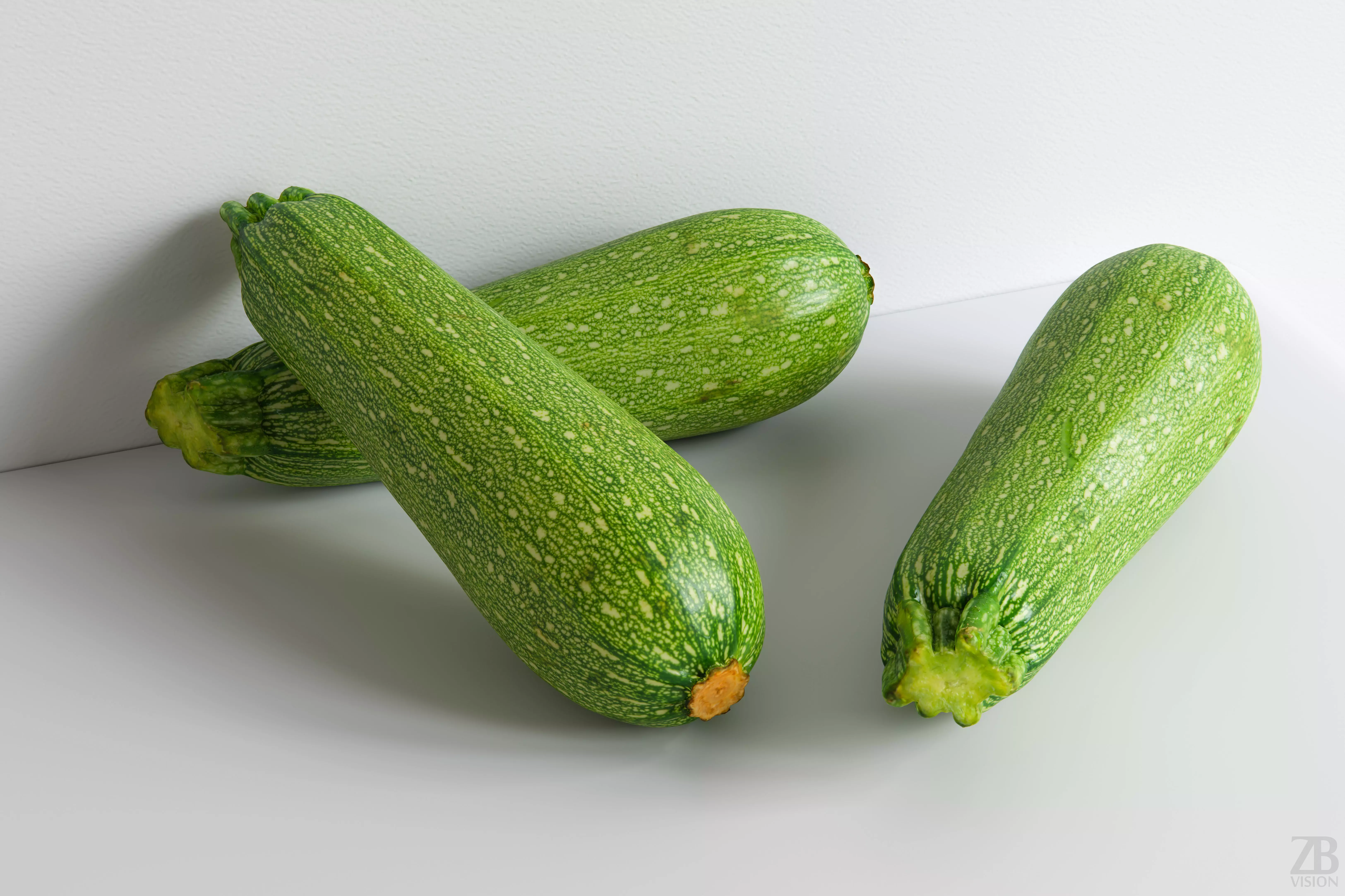Marrow 3D model_0