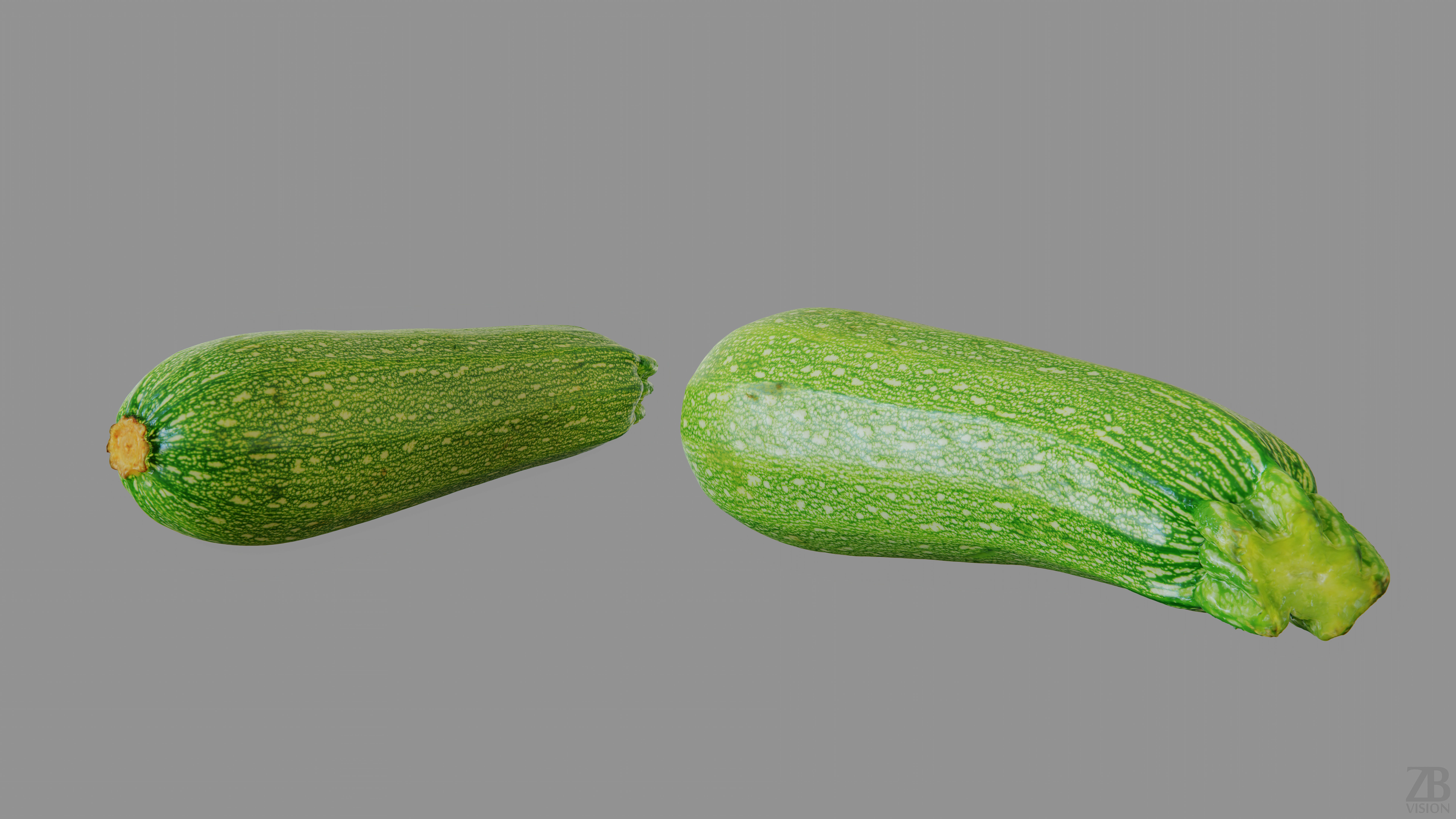 Marrow 3D model_12
