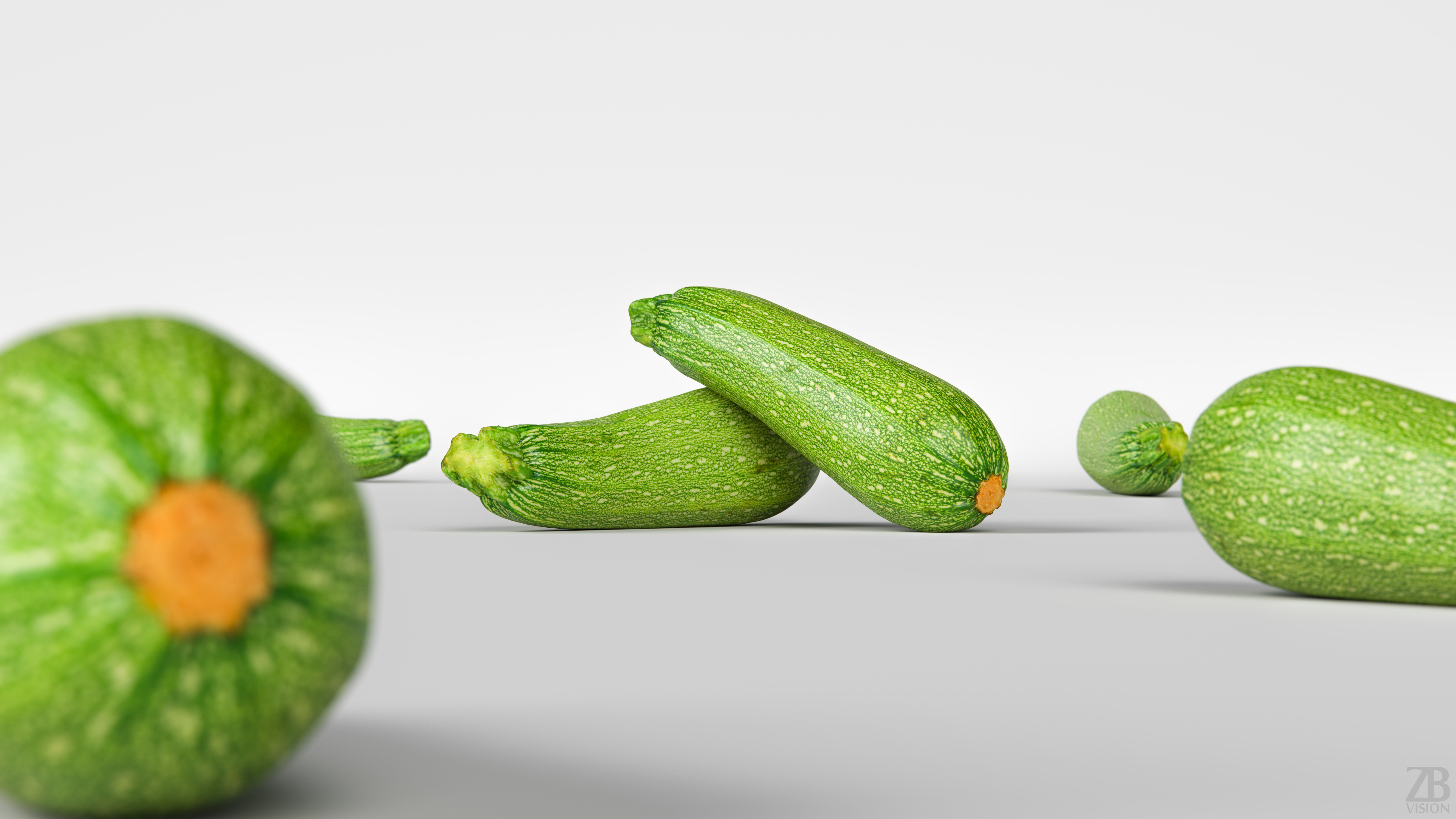 Marrow 3D model_1