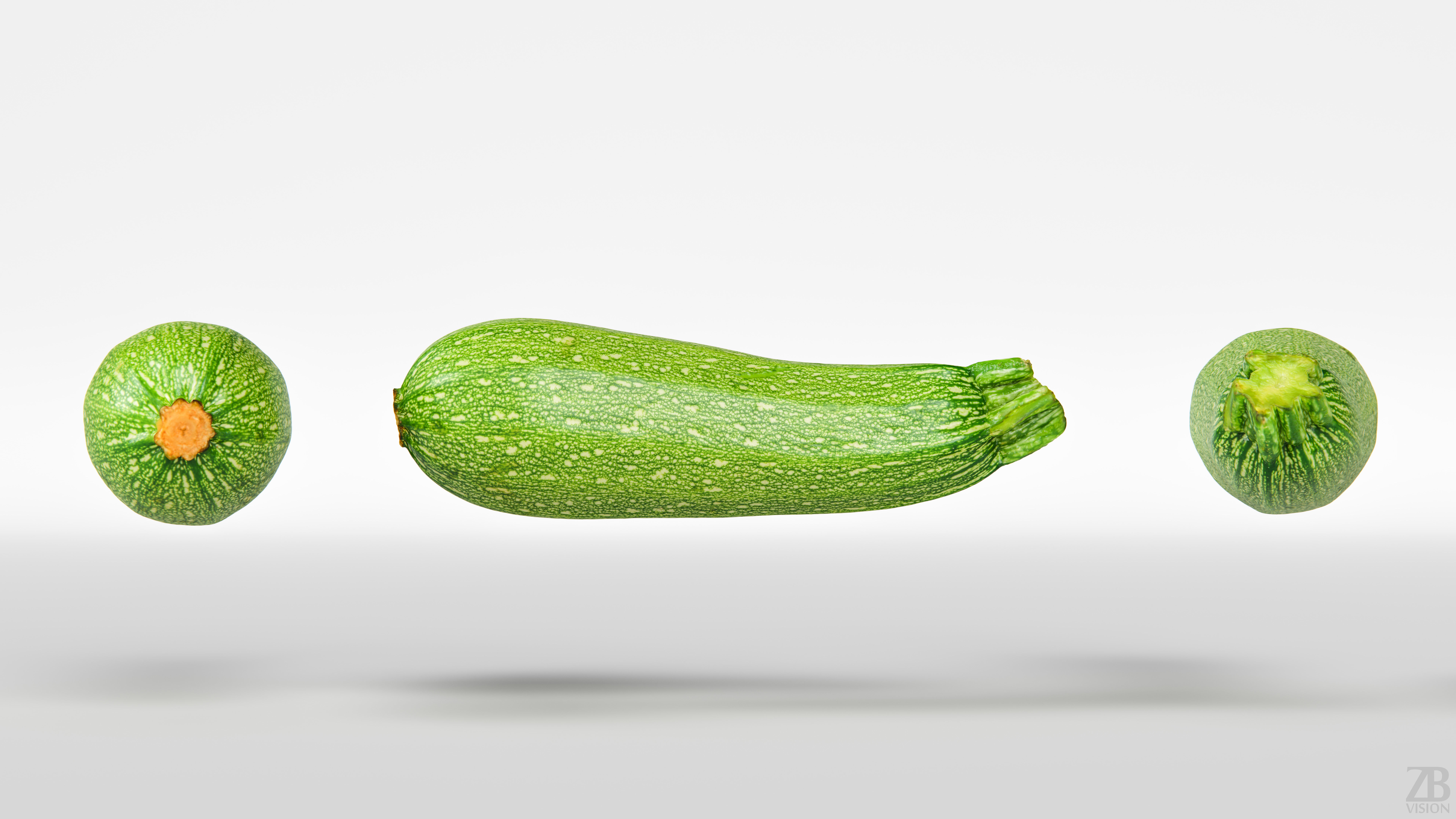 Marrow 3D model_4