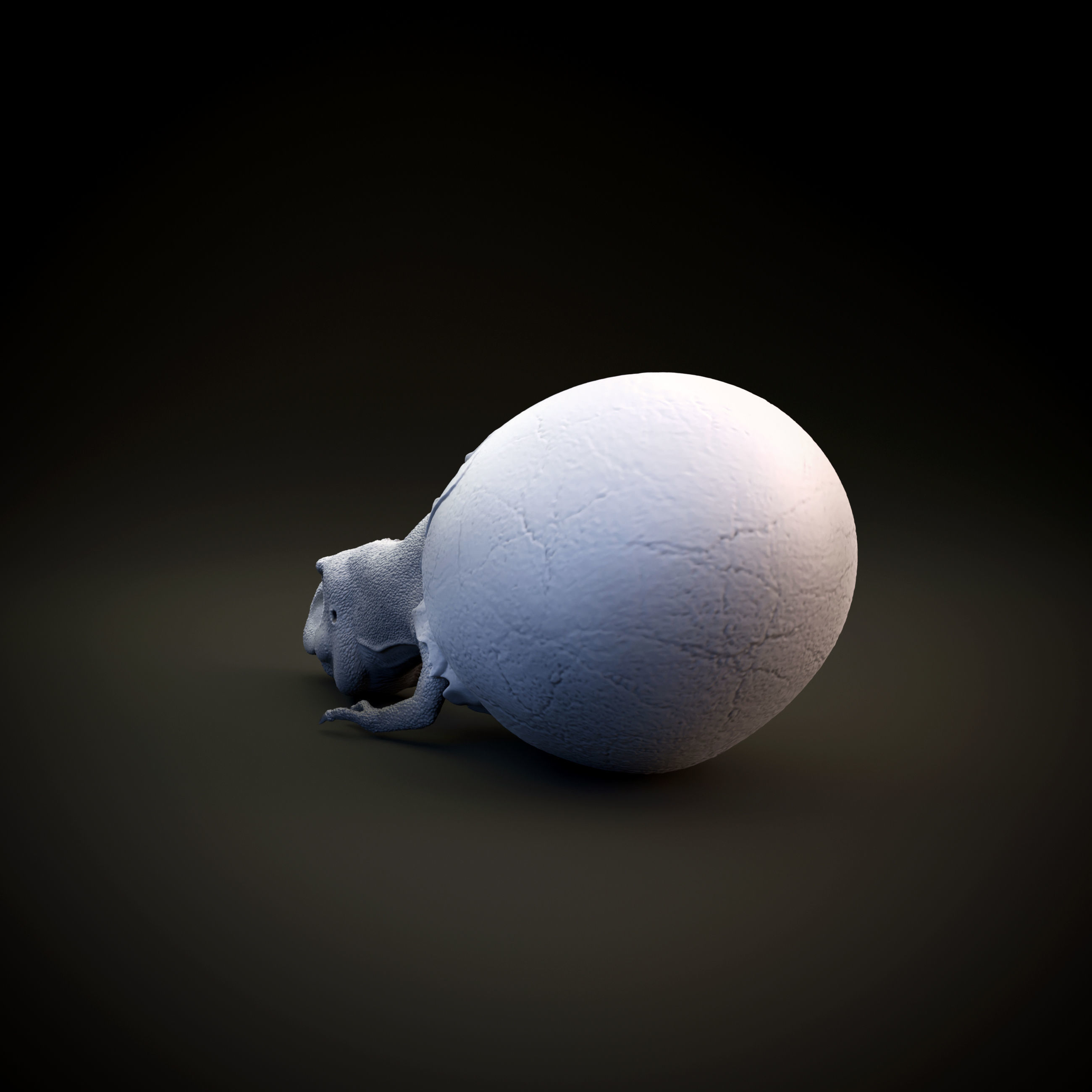 Tyrannosaurus Rex hatchling - baby dino - pre supported 3D print model_4