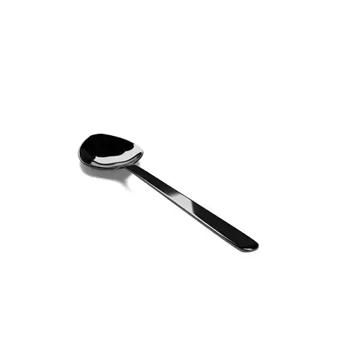 Spoon